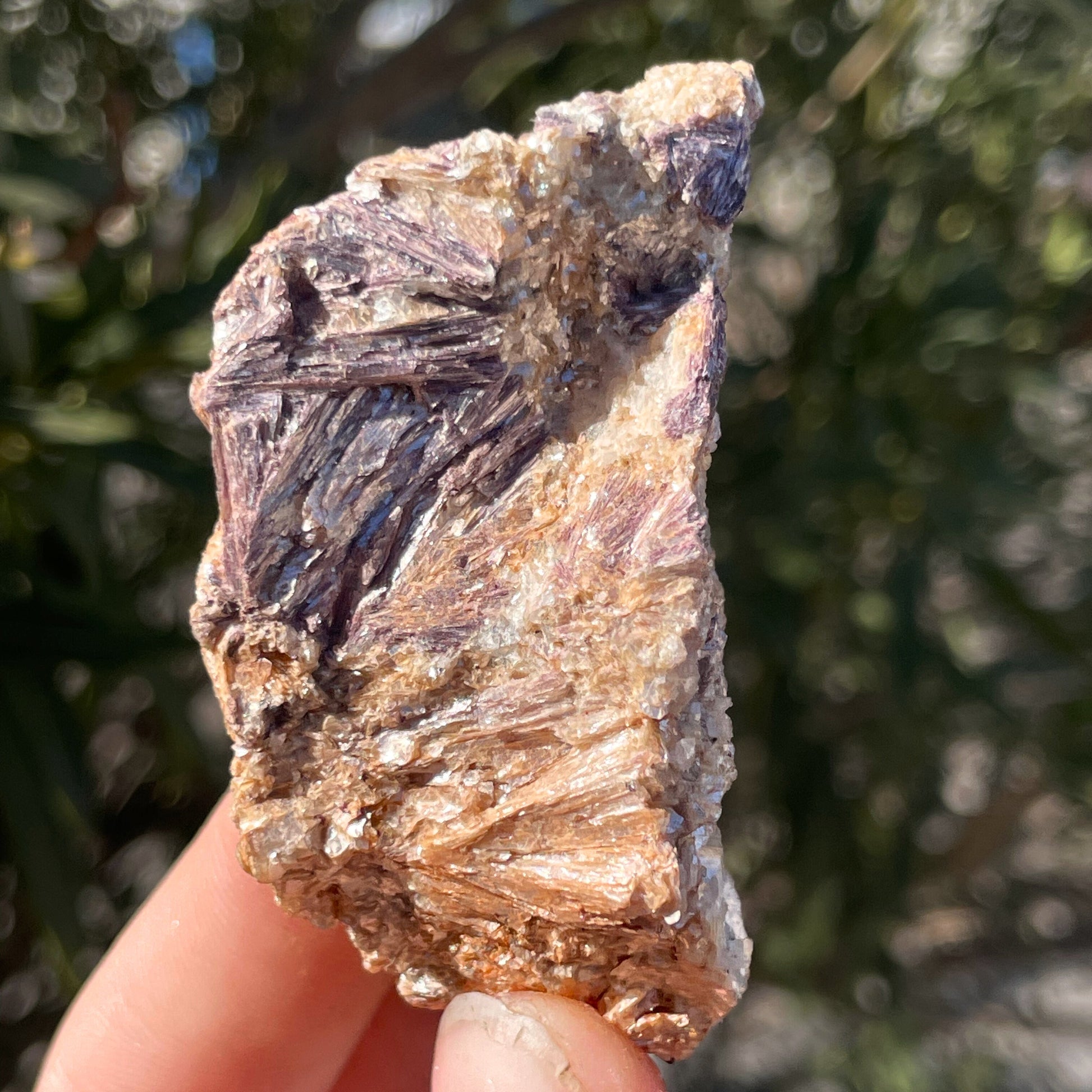 MN0037-Dumortierite (Fluorescent  Sw) W/ Muscovite