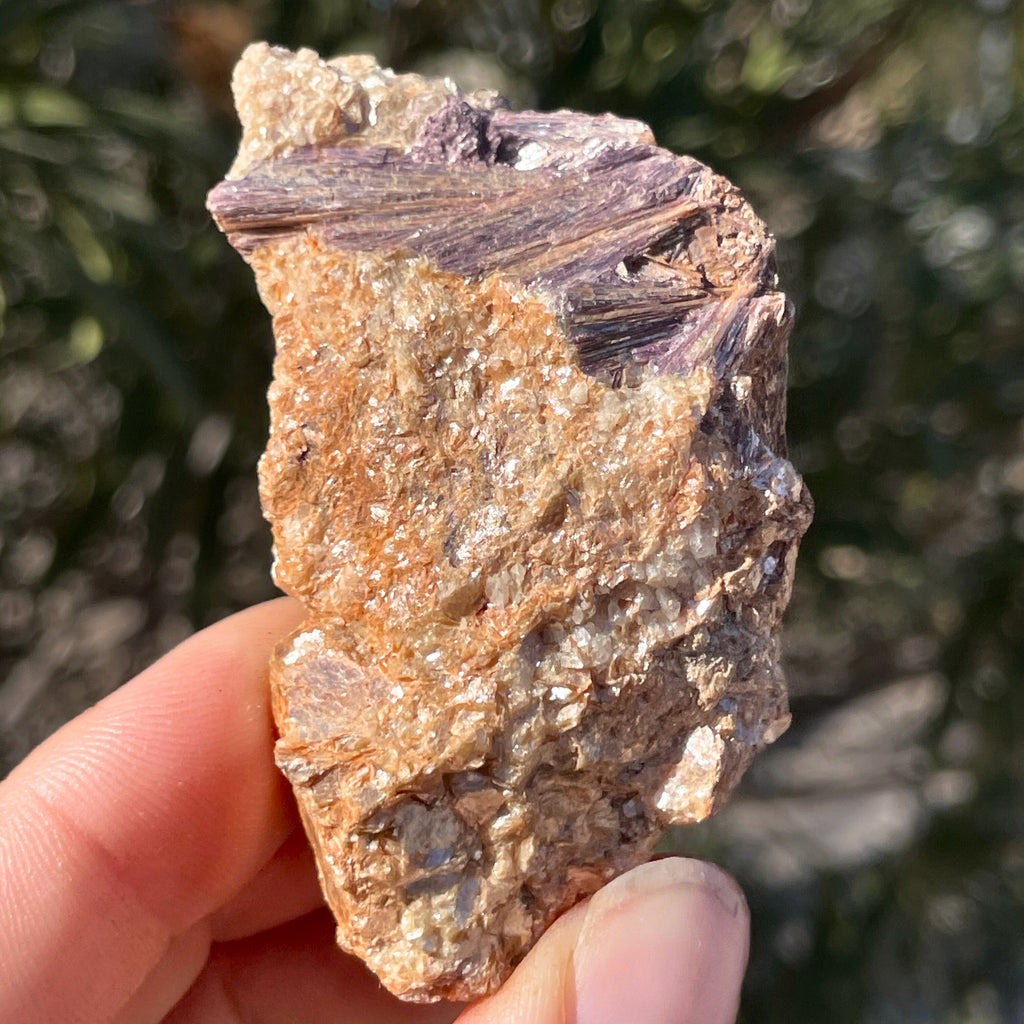 MN0037-Dumortierite (Fluorescent  Sw) W/ Muscovite