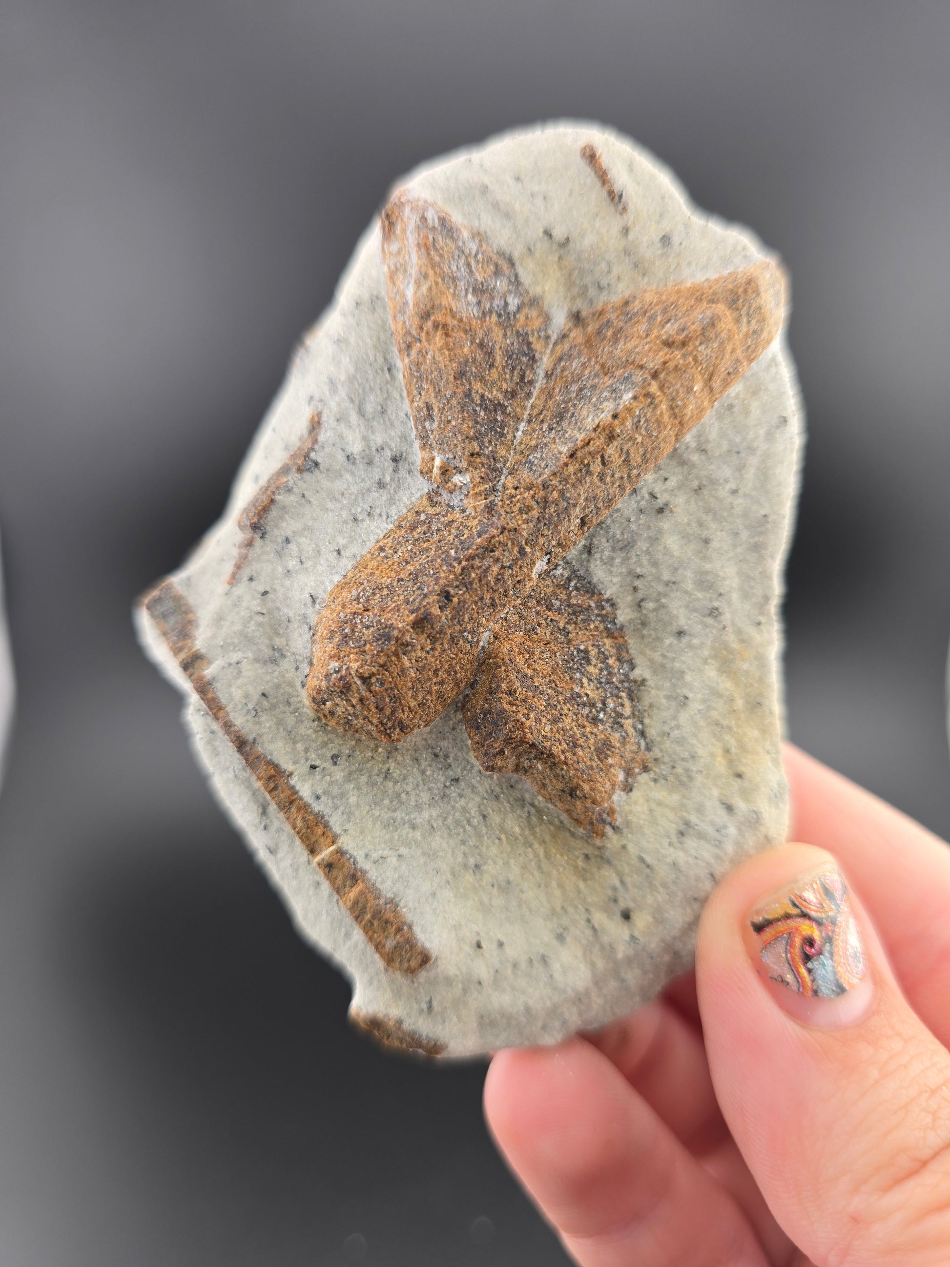 MN0060-Staurolite "Fairy Cross"