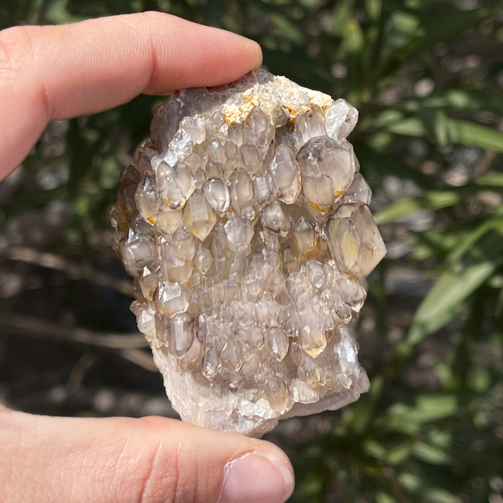 MN0071-Smokey Quartz "Ceptro"