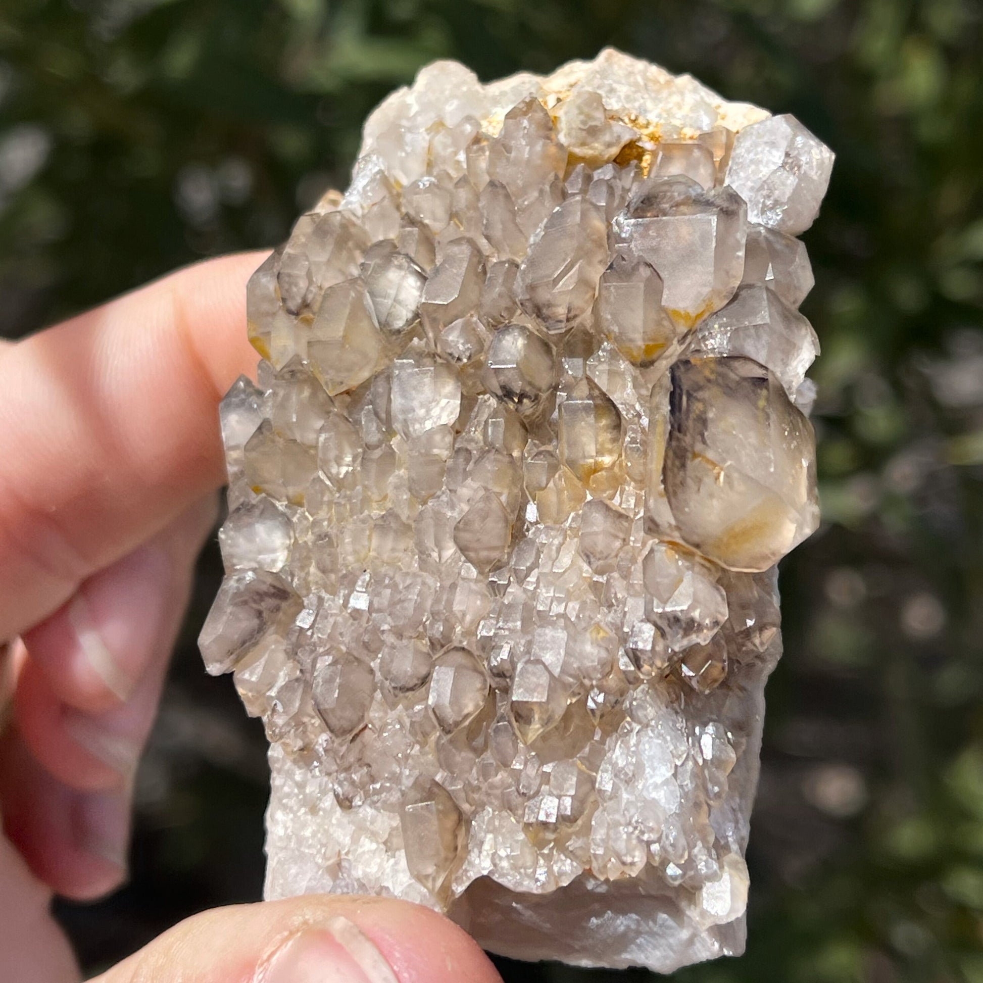 MN0071-Smokey Quartz "Ceptro"