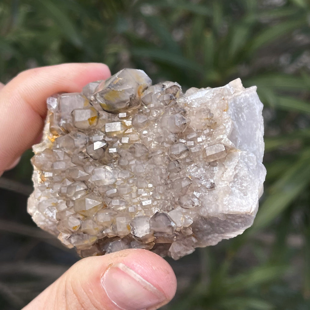 MN0071-Smokey Quartz "Ceptro"