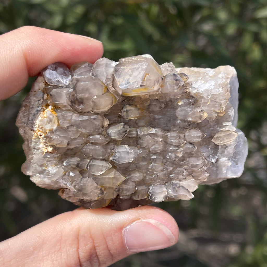 MN0071-Smokey Quartz "Ceptro"