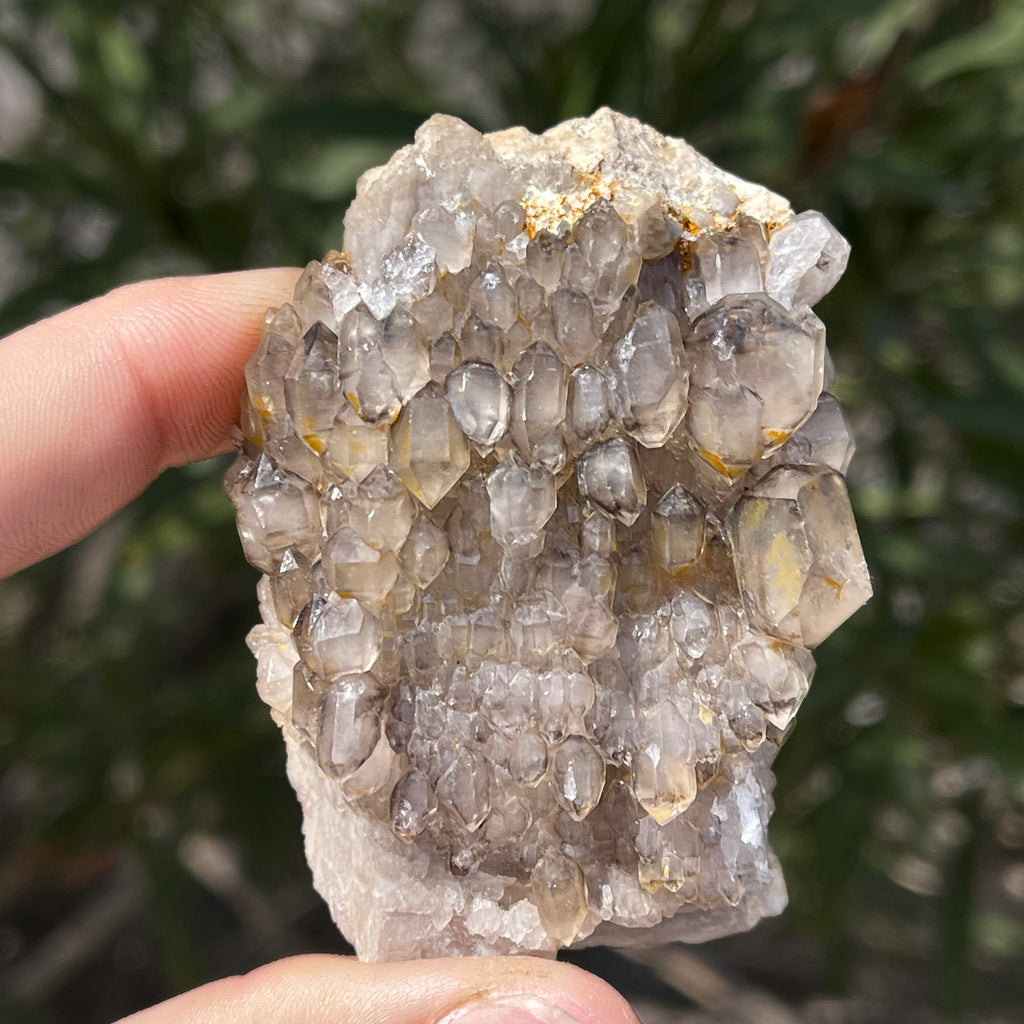 MN0071-Smokey Quartz "Ceptro"