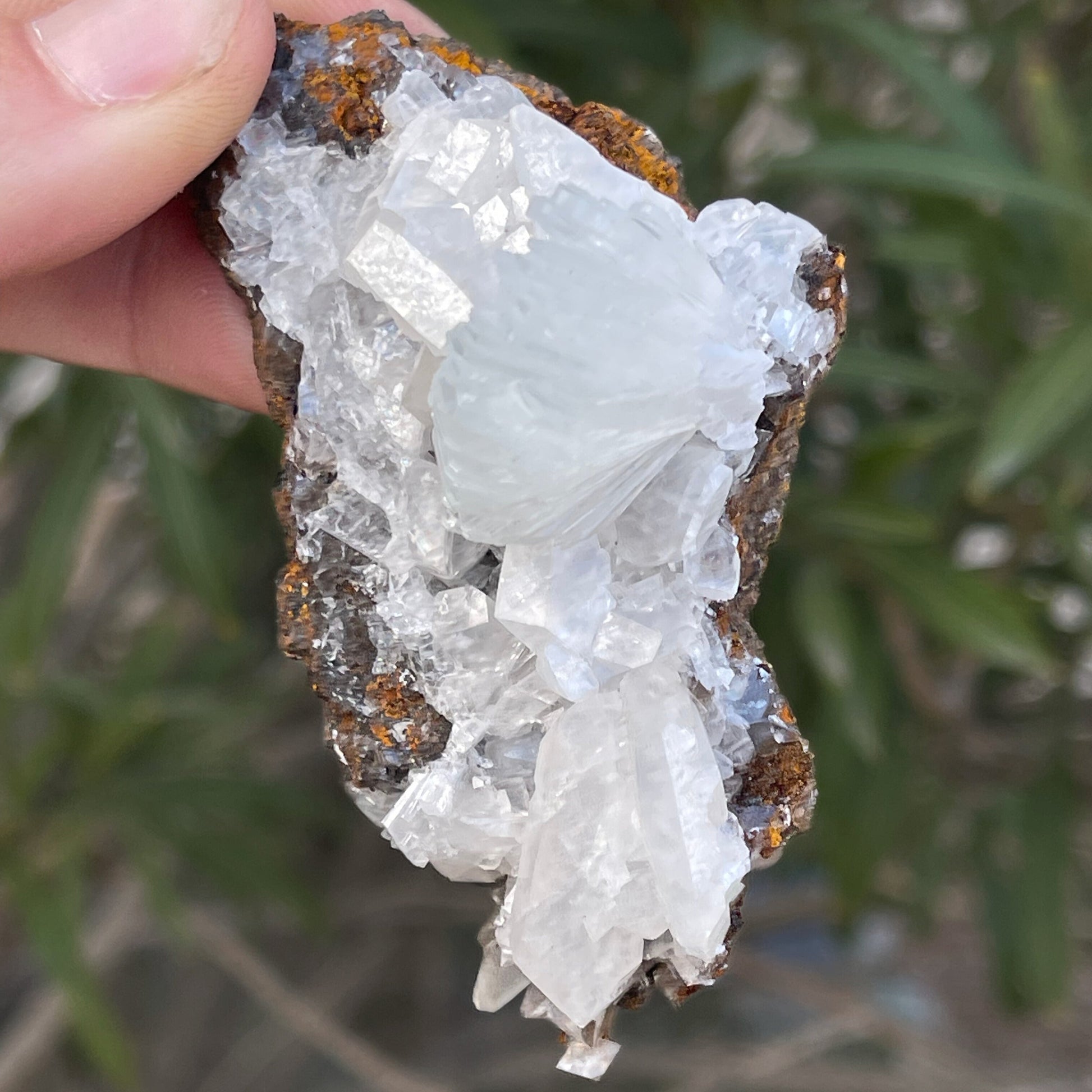 MN0073-Hemimorphite