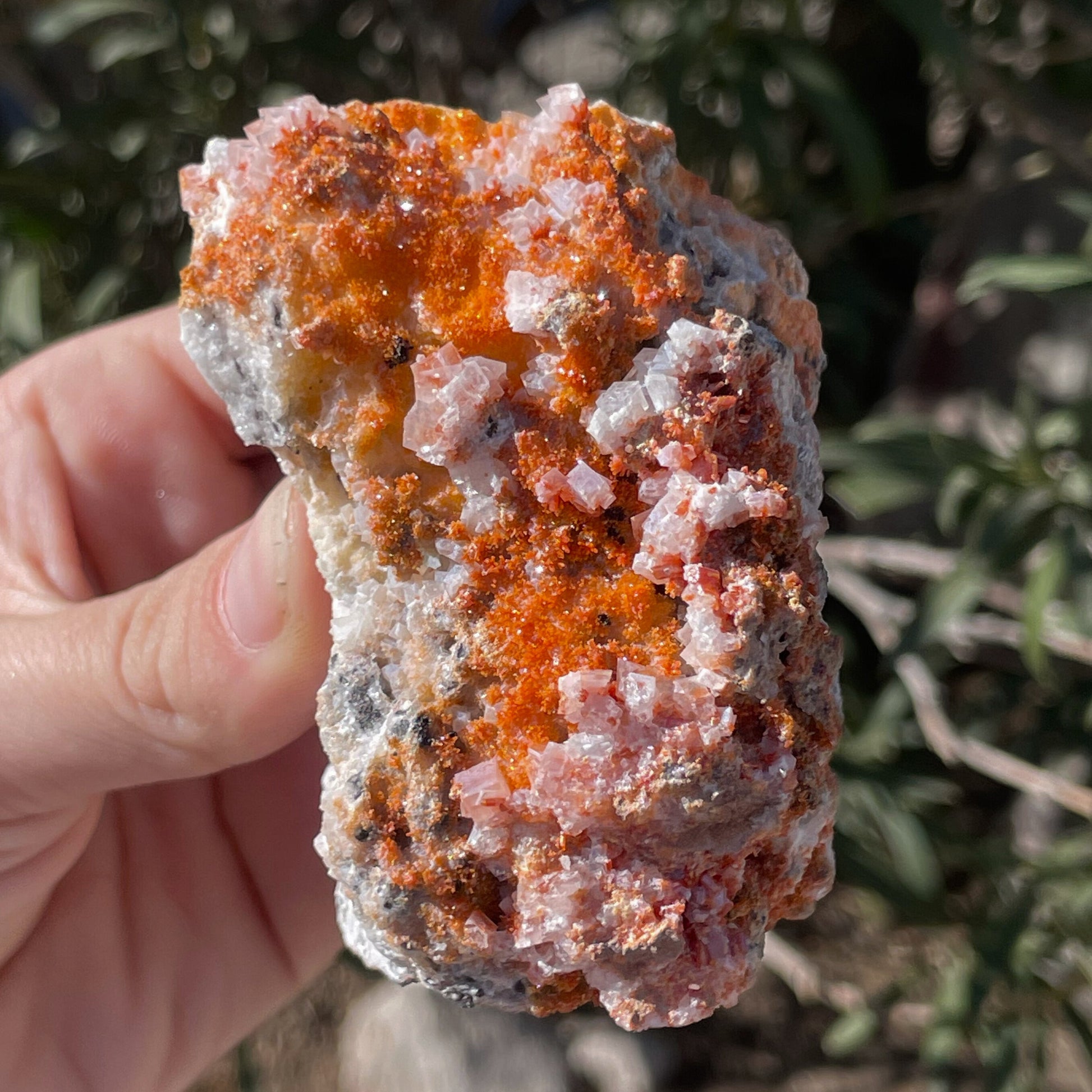 MN0013-Vanadinite On Calcite