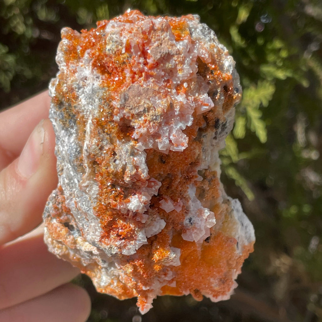 MN0013-Vanadinite On Calcite