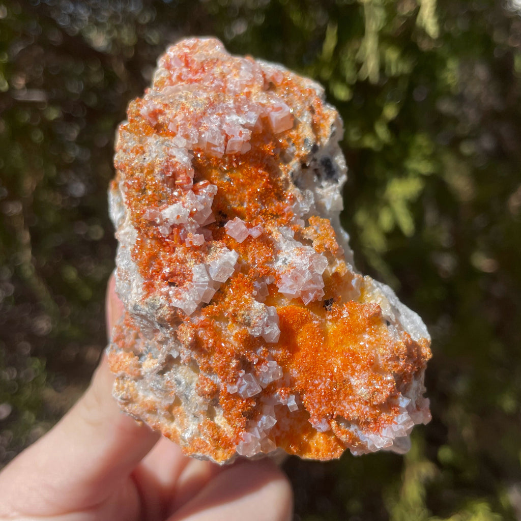 MN0013-Vanadinite On Calcite
