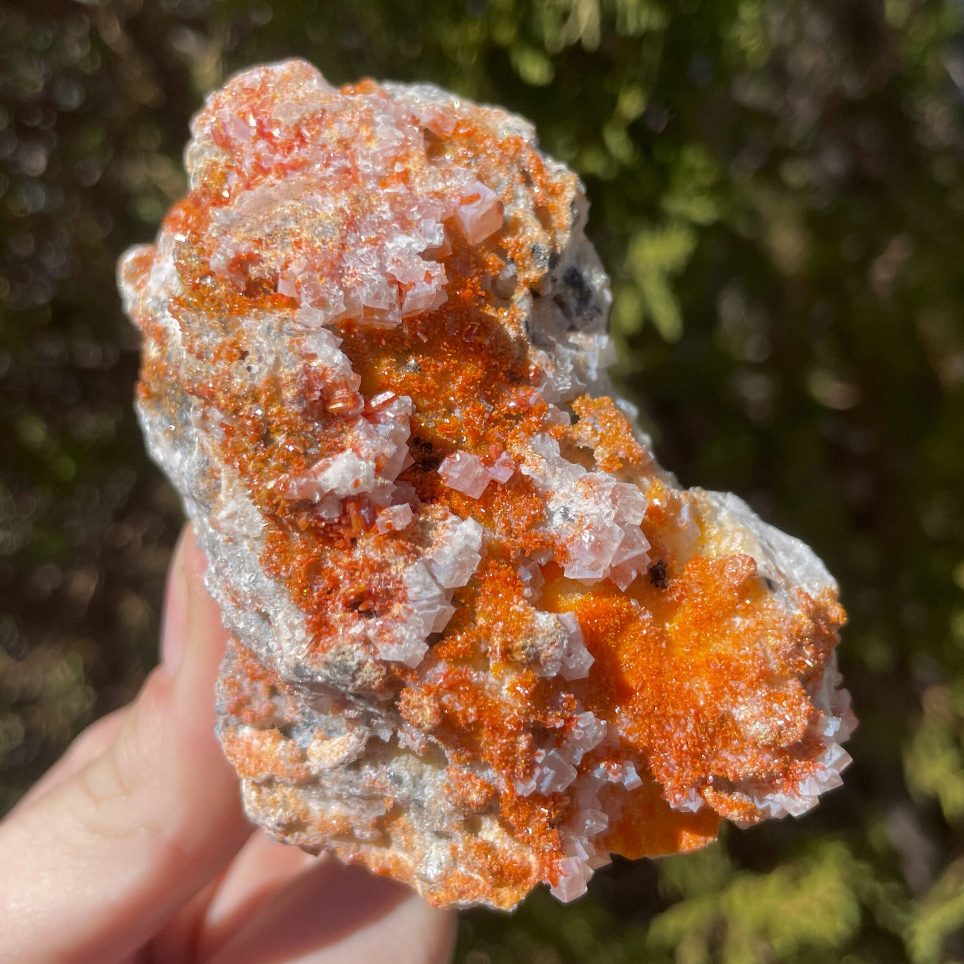 MN0013-Vanadinite On Calcite