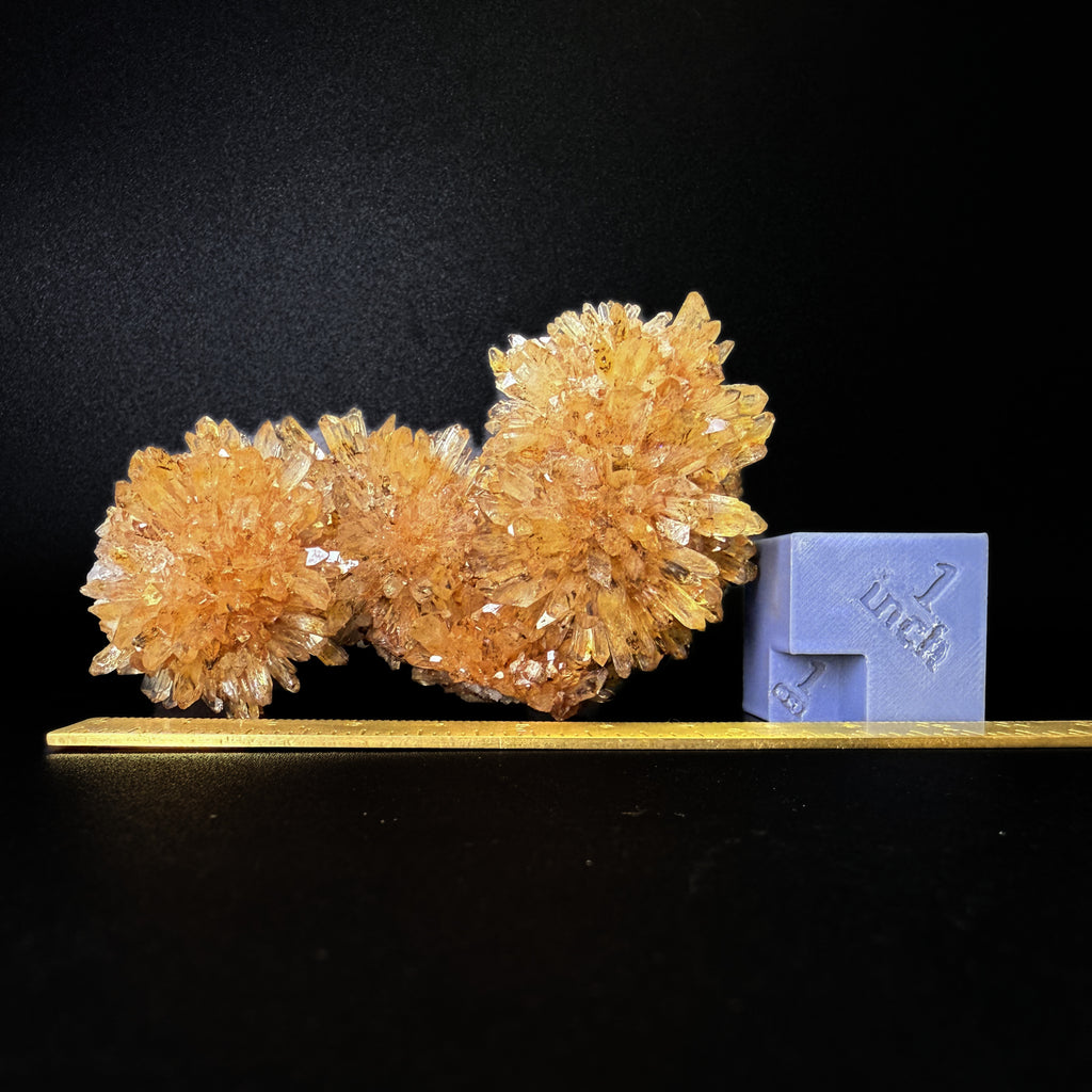 Creedite