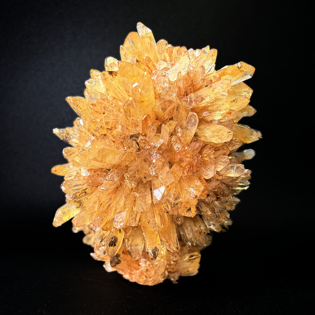 Creedite