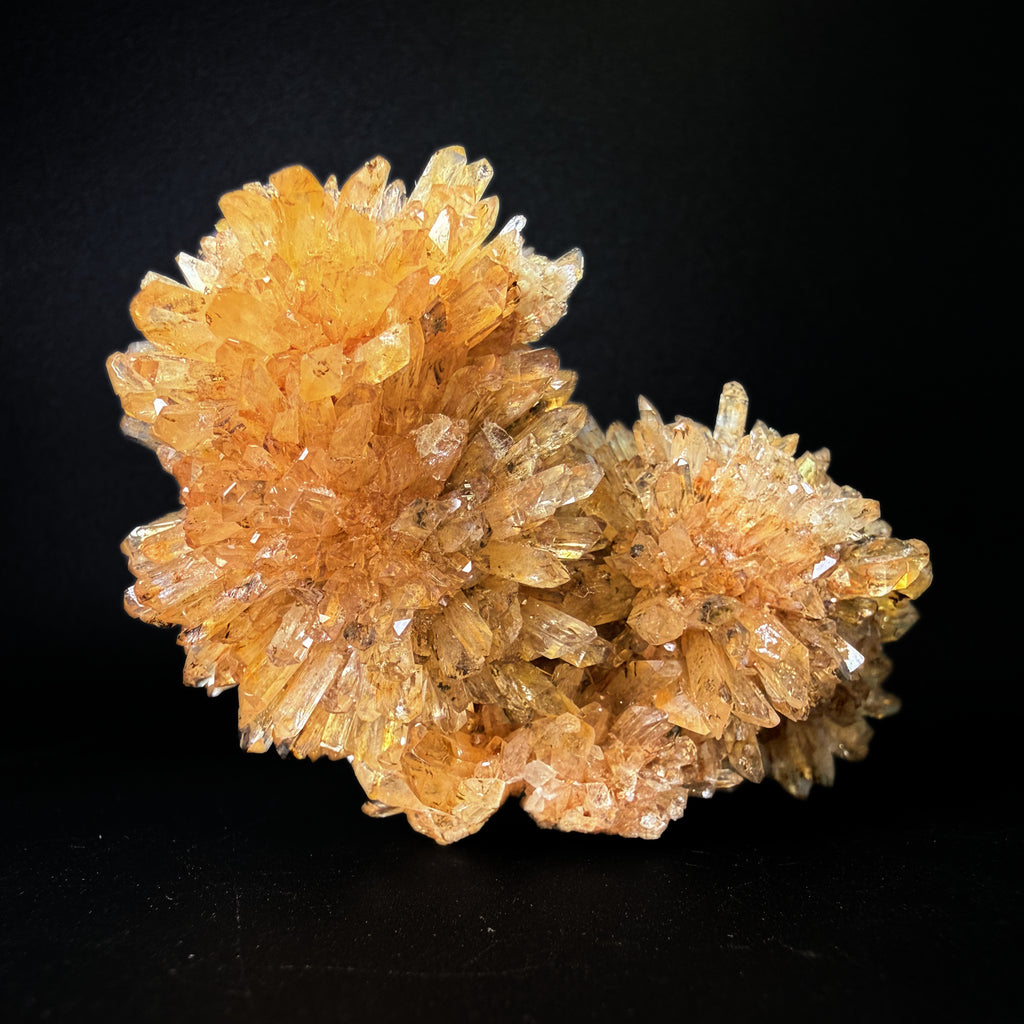 Creedite