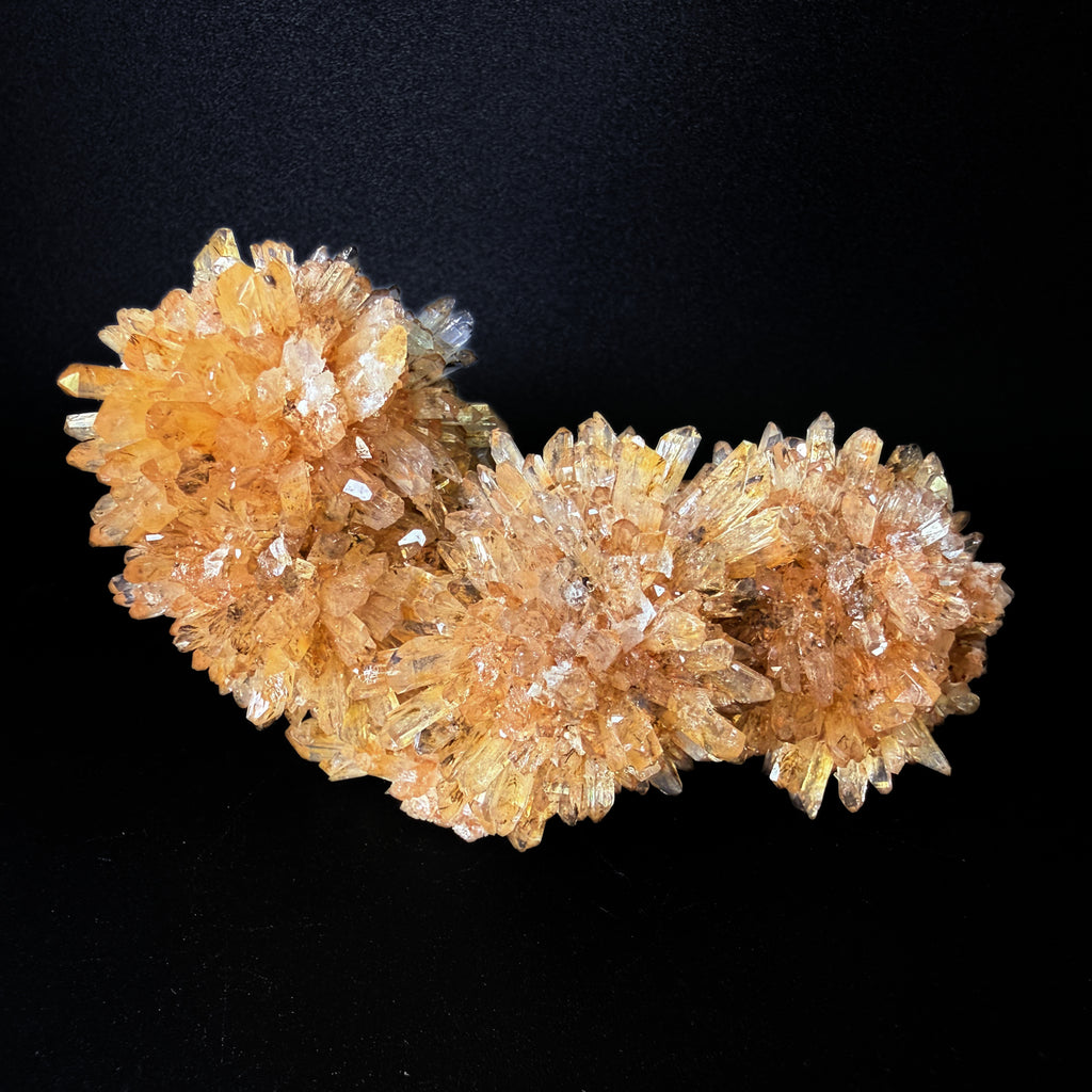 Creedite