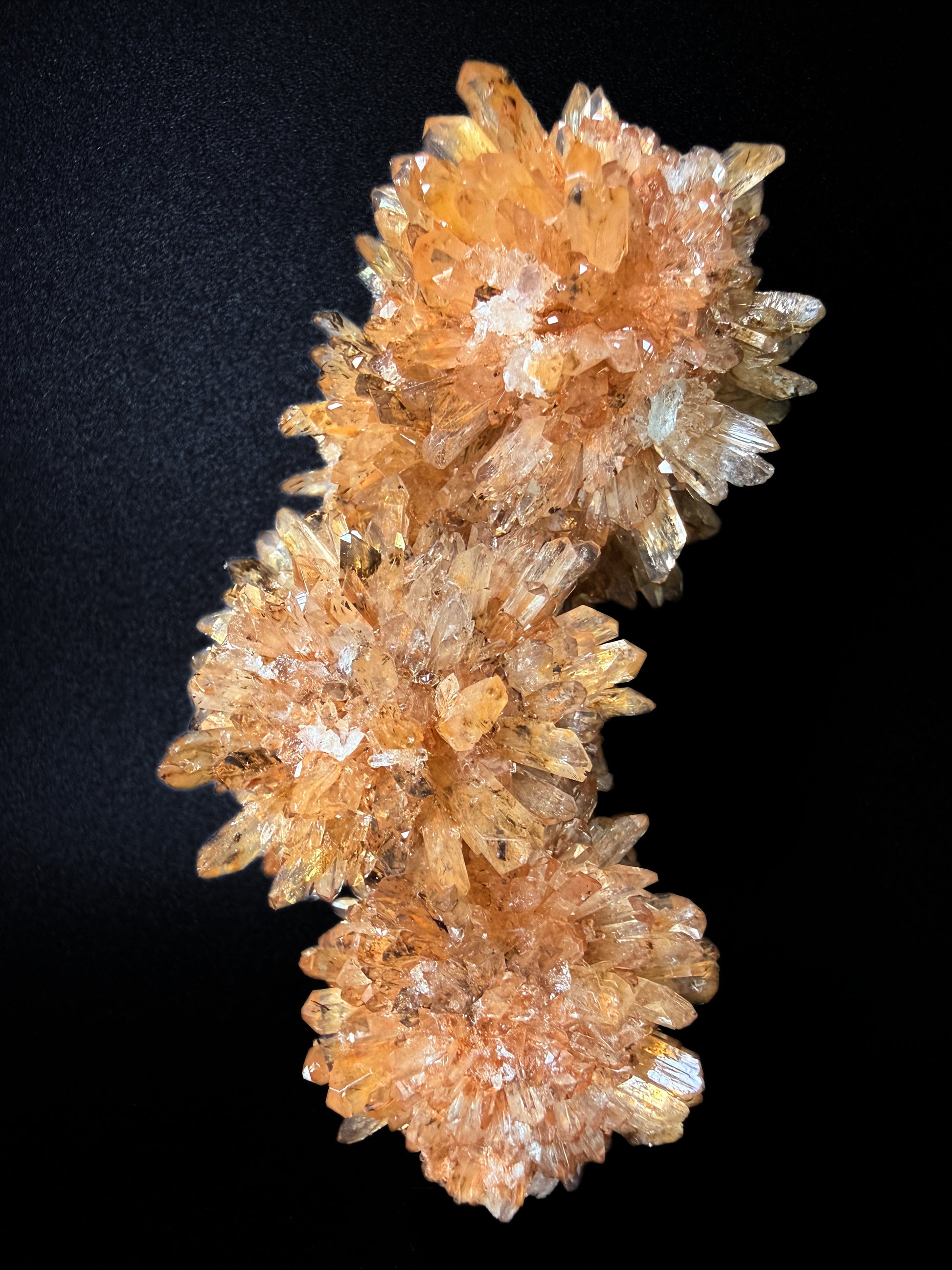 Creedite