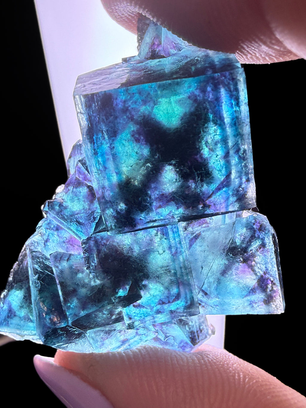 Fluorite "Butterfly Pocket"