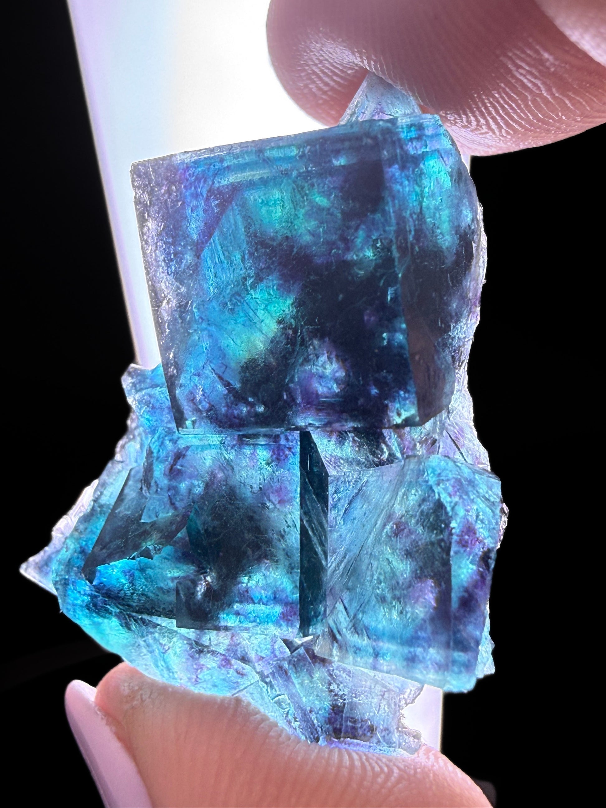 Fluorite "Butterfly Pocket"