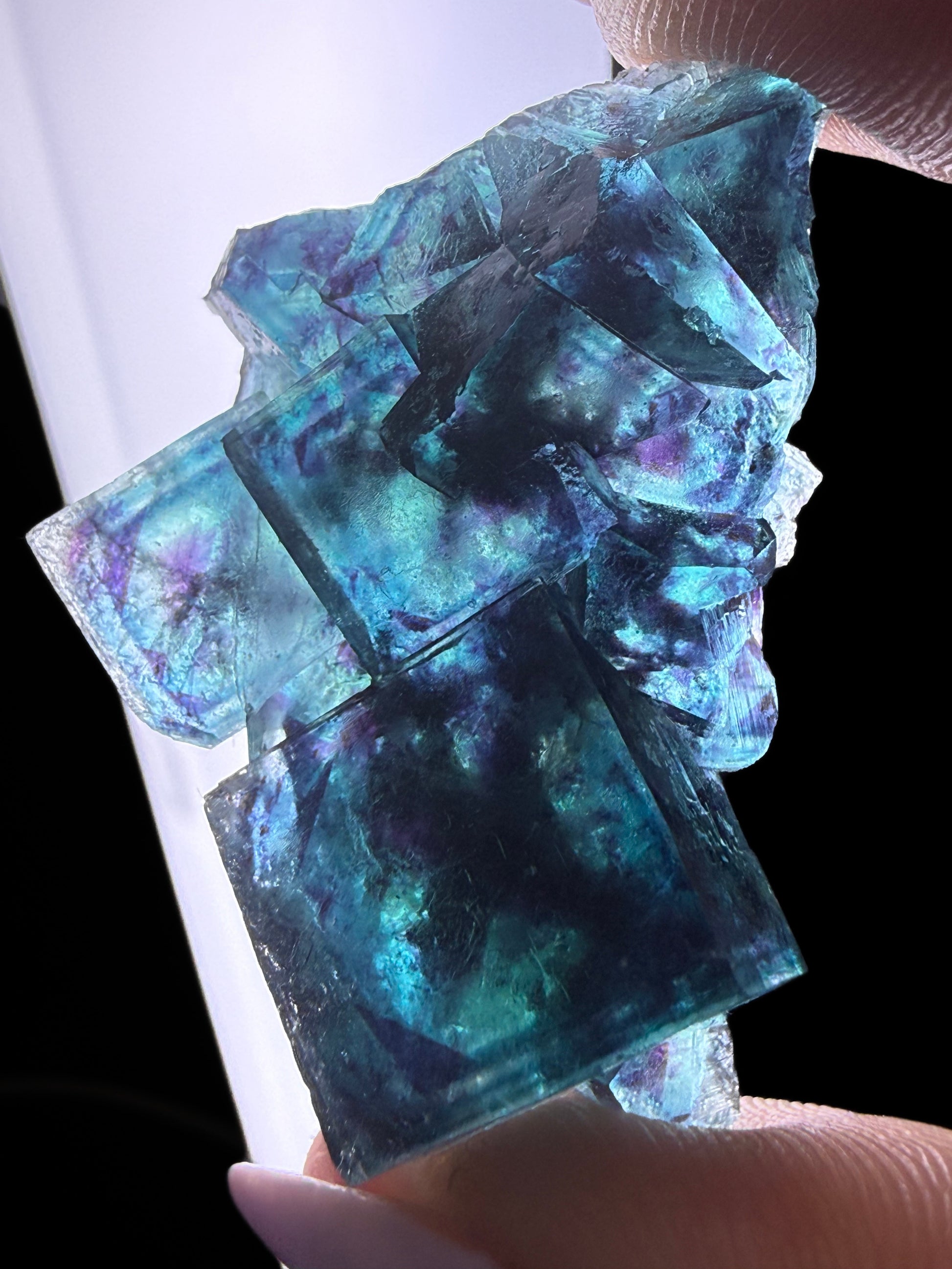 Fluorite "Butterfly Pocket"