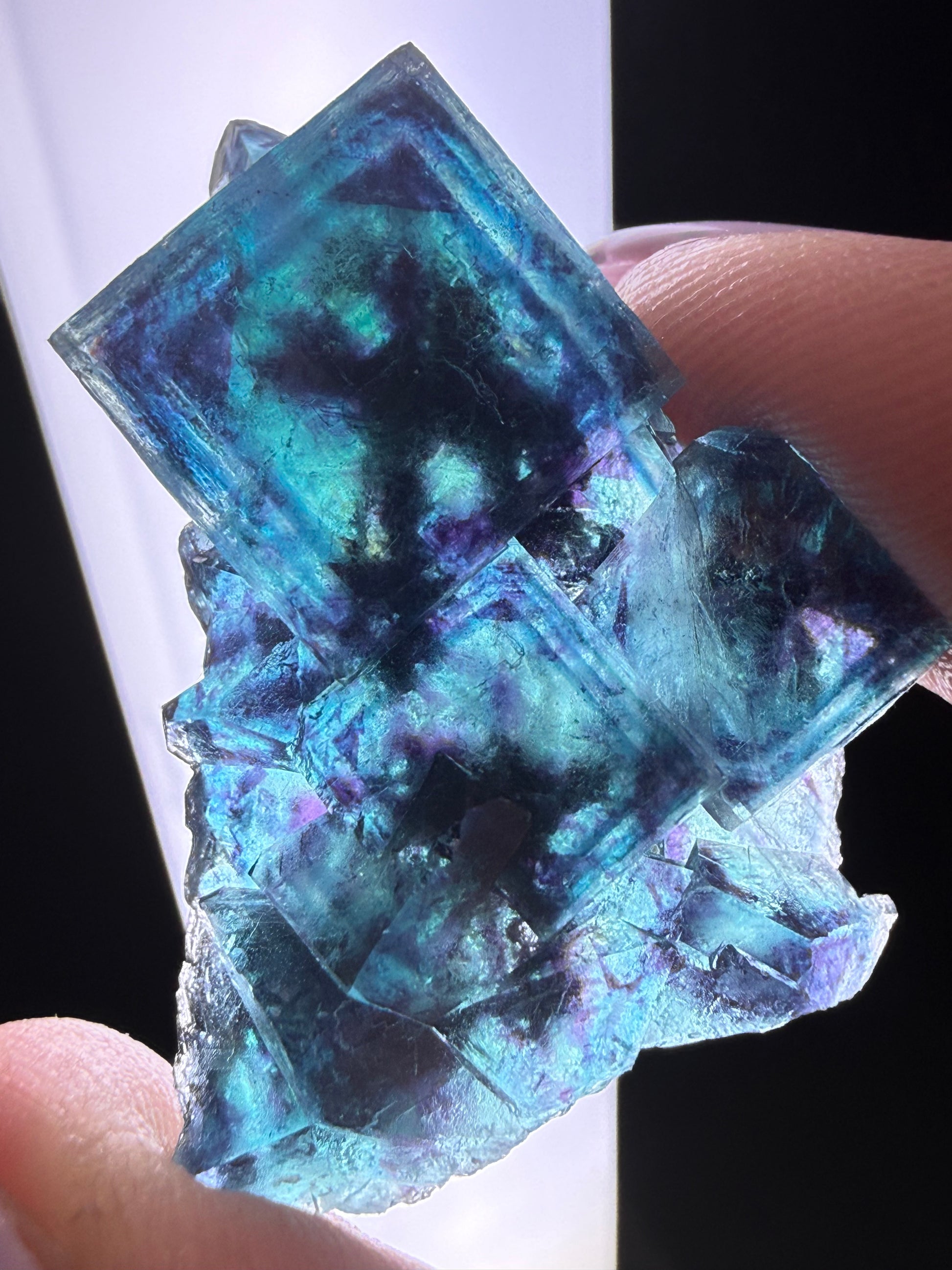 Fluorite "Butterfly Pocket"