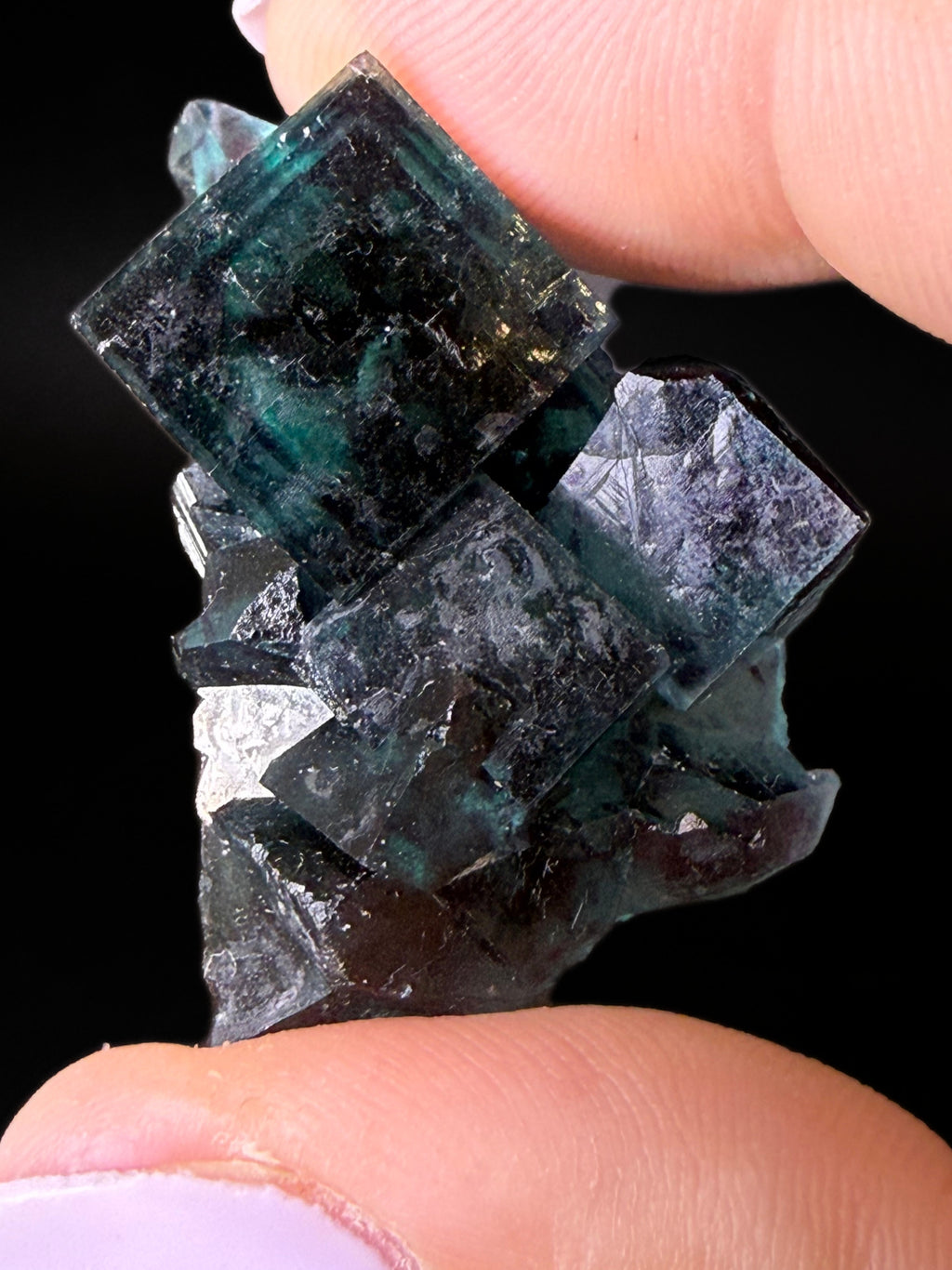 Fluorite "Butterfly Pocket"