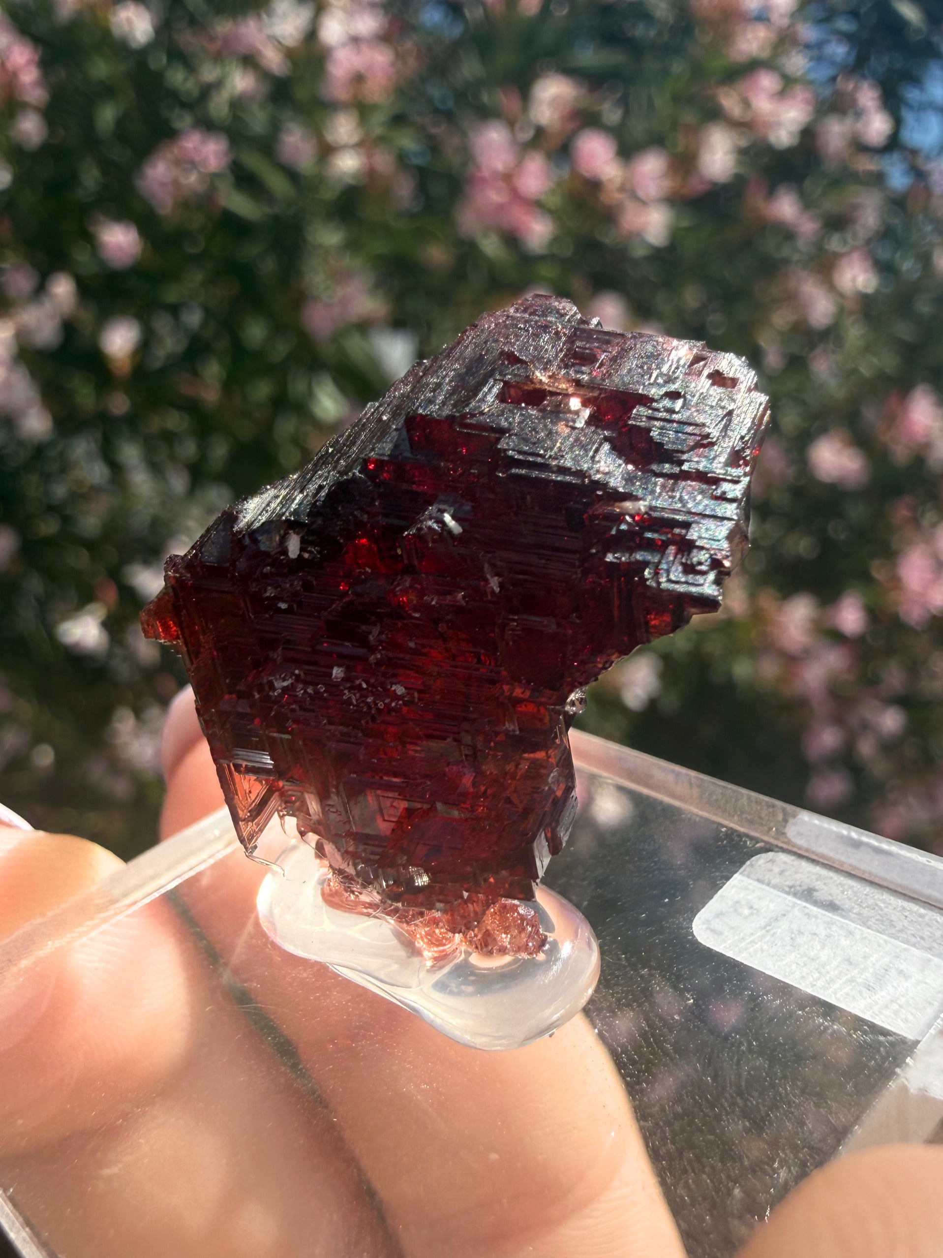 Spessartine Garnet