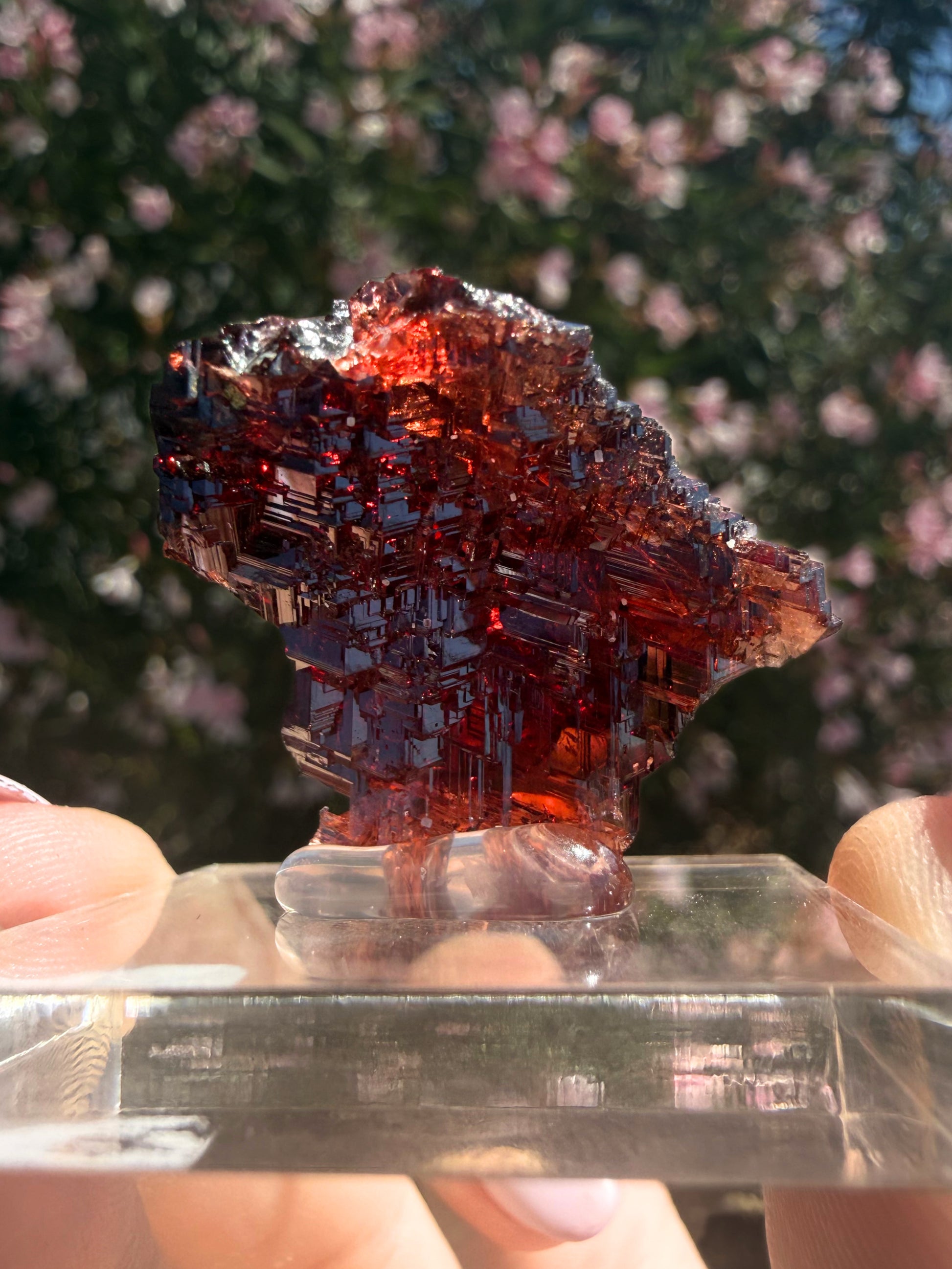 Spessartine Garnet