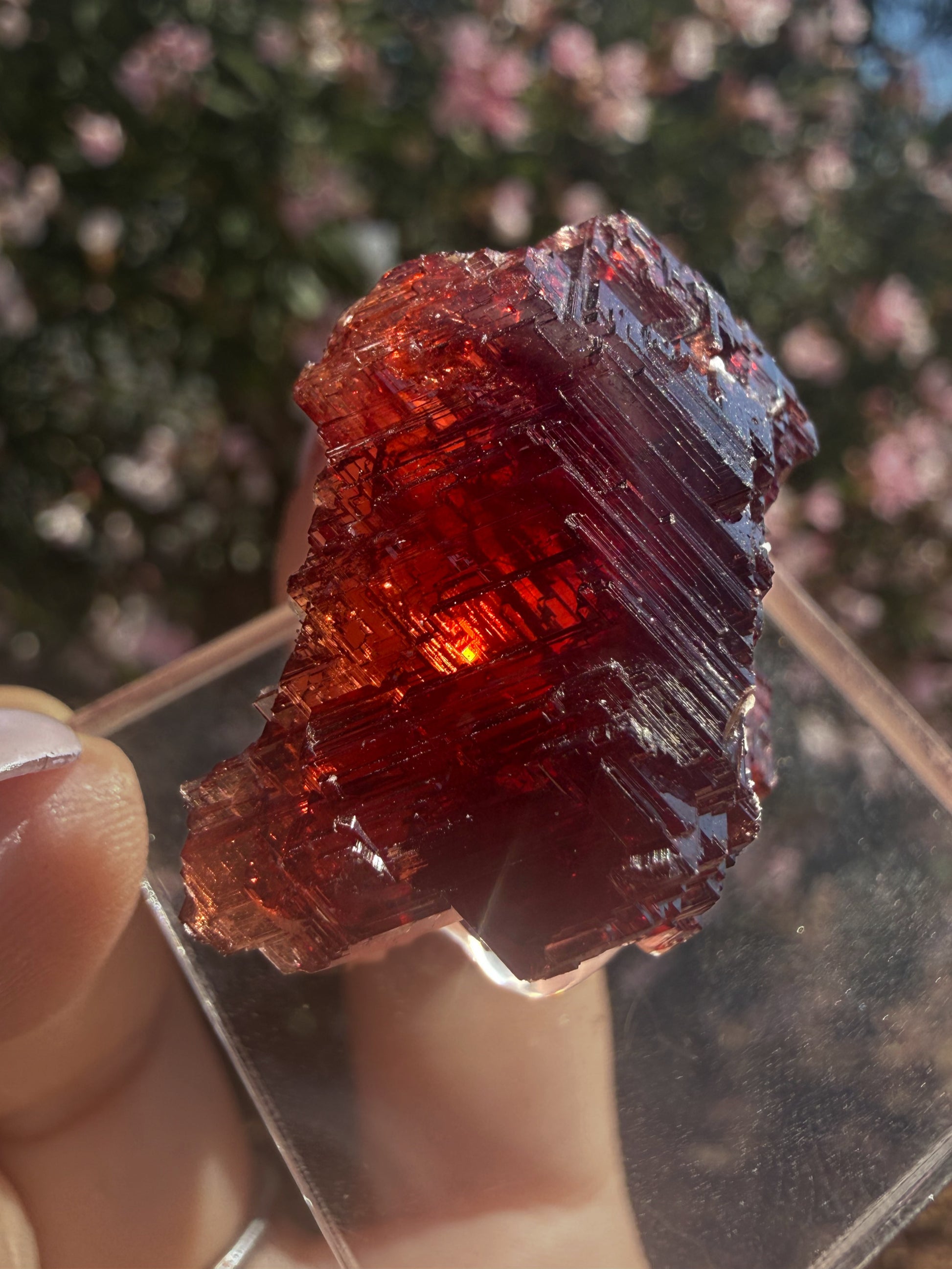 Spessartine Garnet