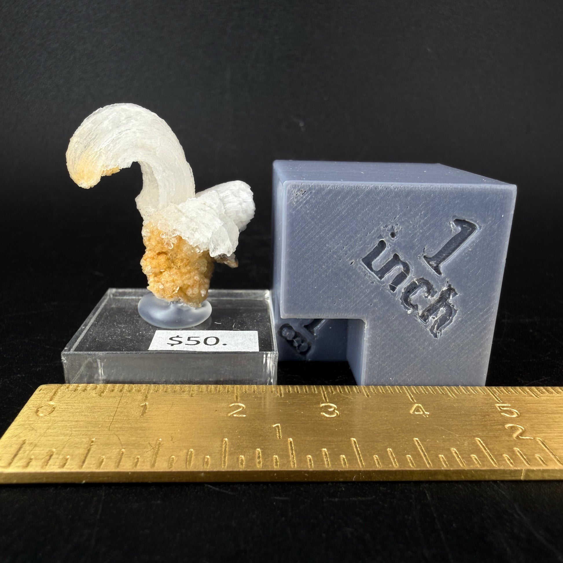 Gypsum Var. Selenite "Ram's Horn"