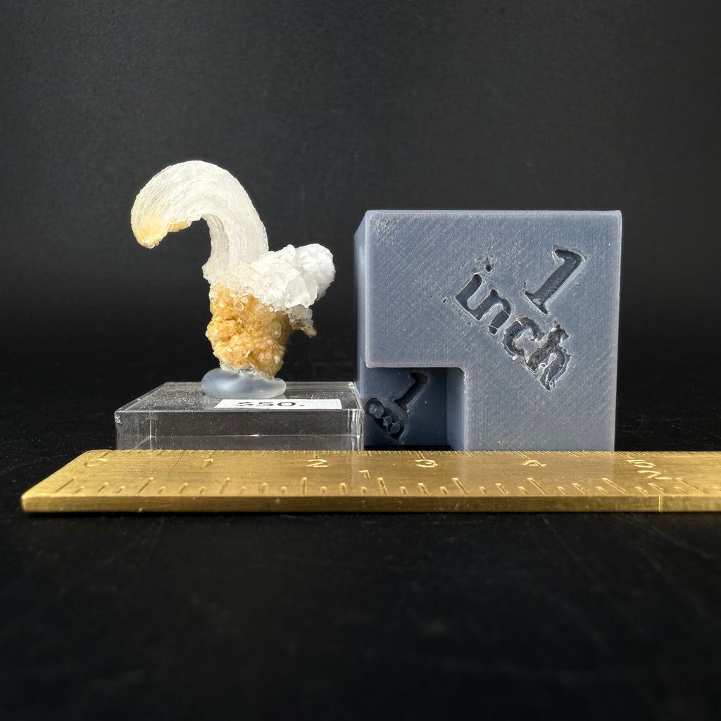 Gypsum Var. Selenite "Ram's Horn"
