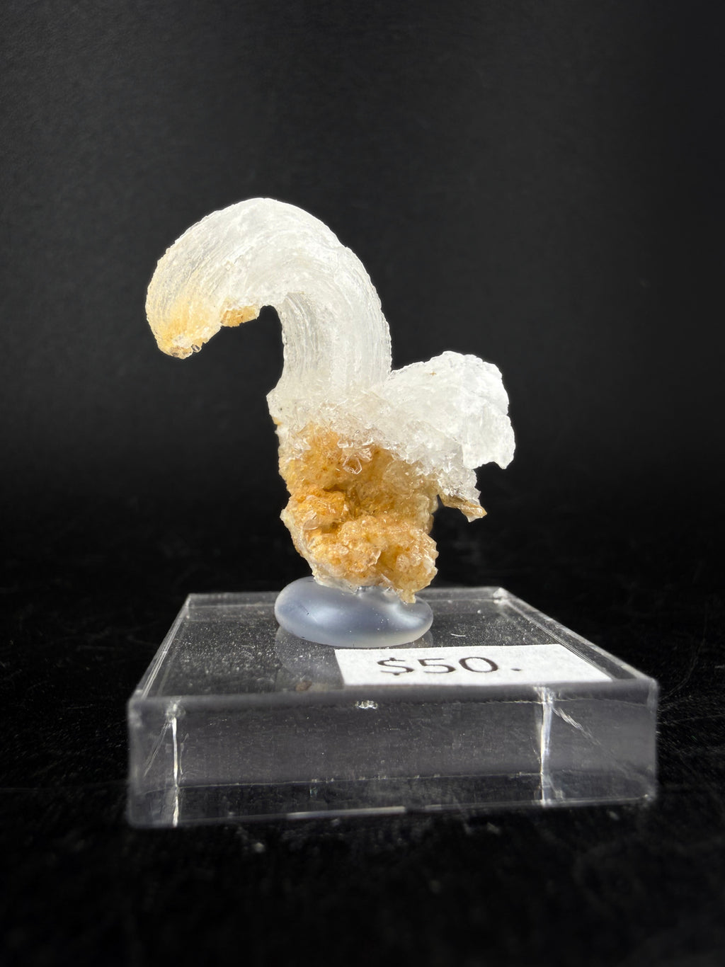 Gypsum Var. Selenite "Ram's Horn"