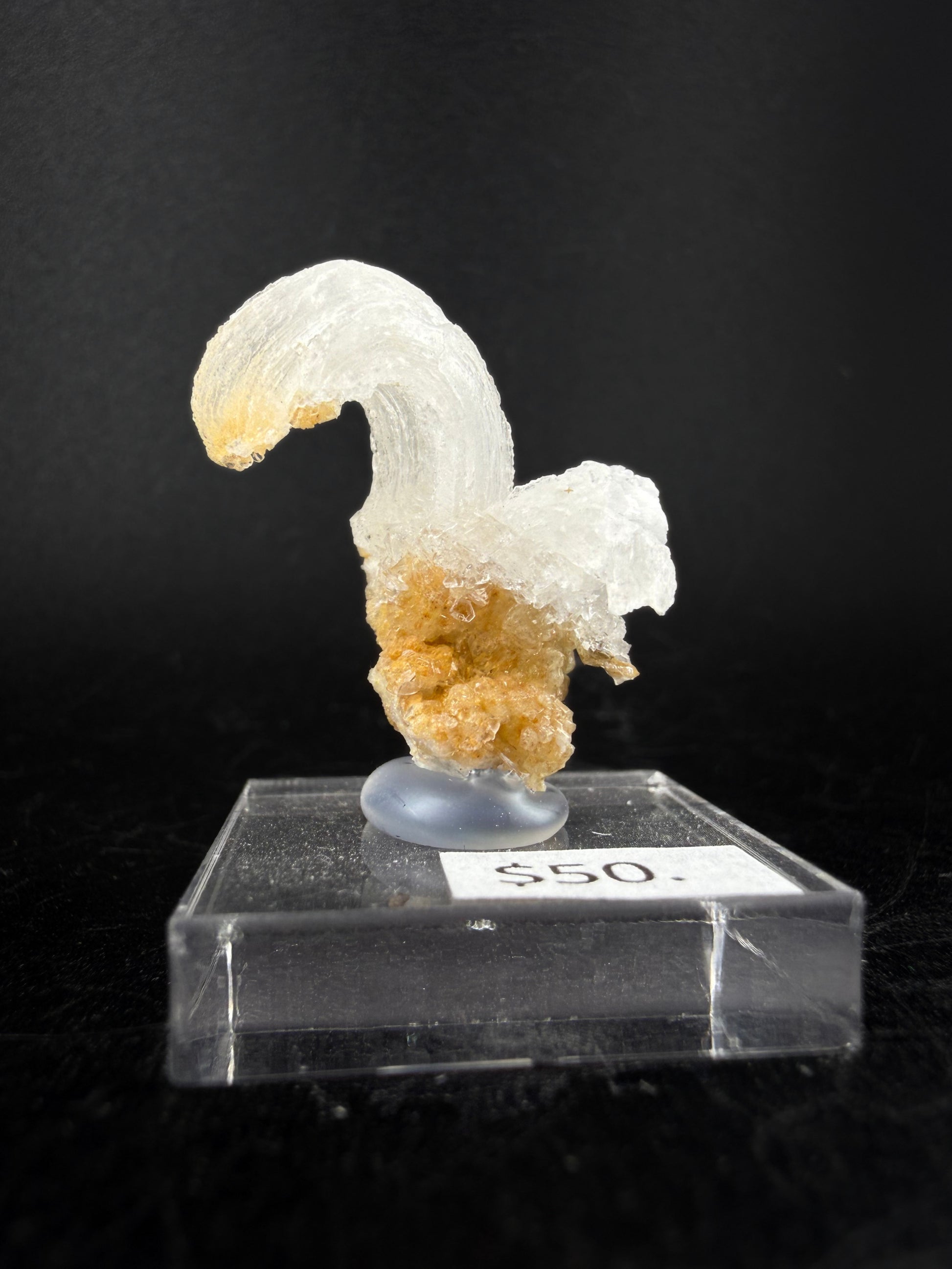 Gypsum Var. Selenite "Ram's Horn"