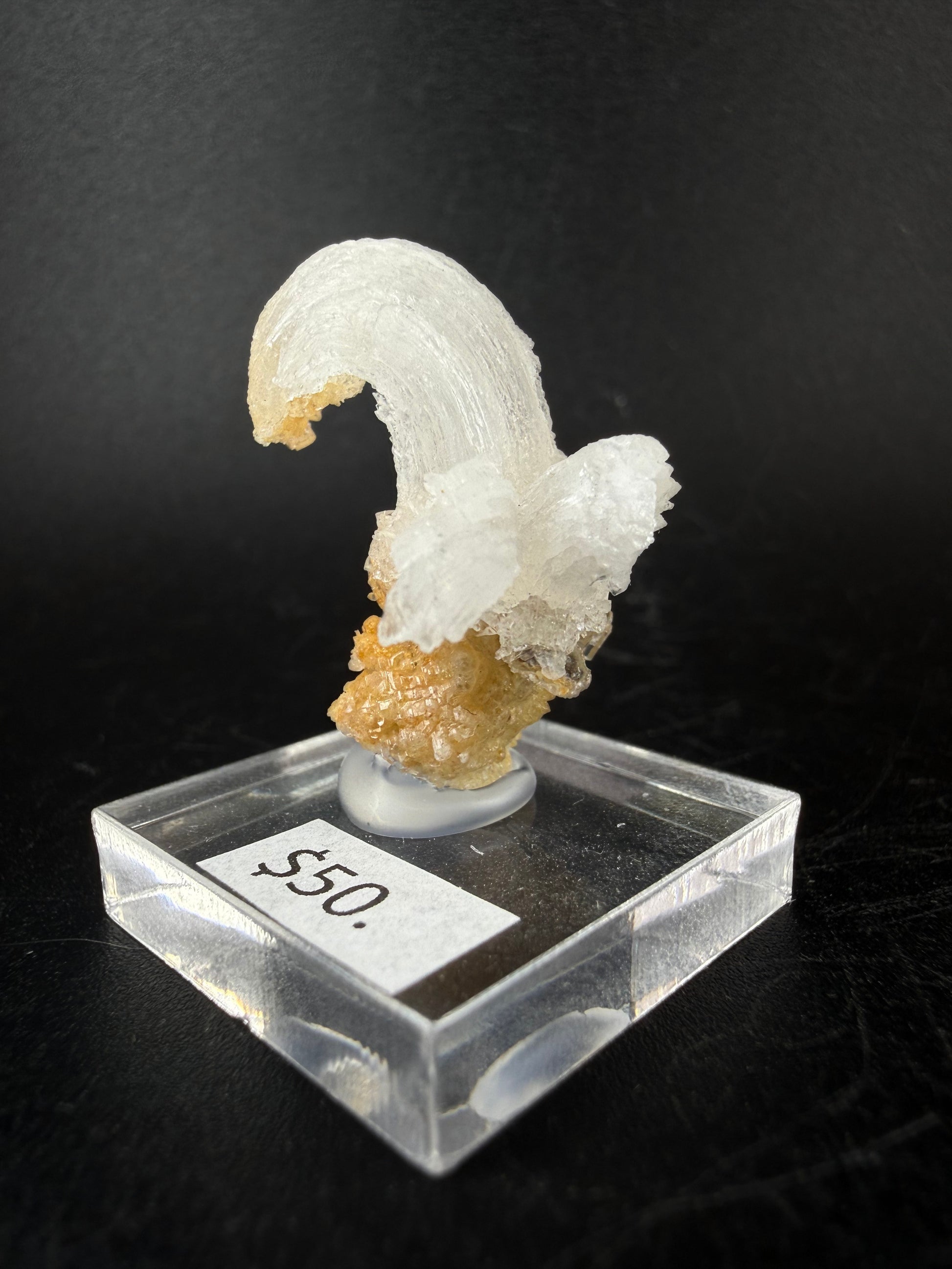Gypsum Var. Selenite "Ram's Horn"
