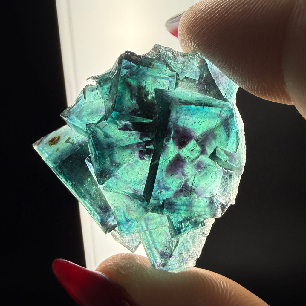 Fluorite "Butterfly Pocket"
