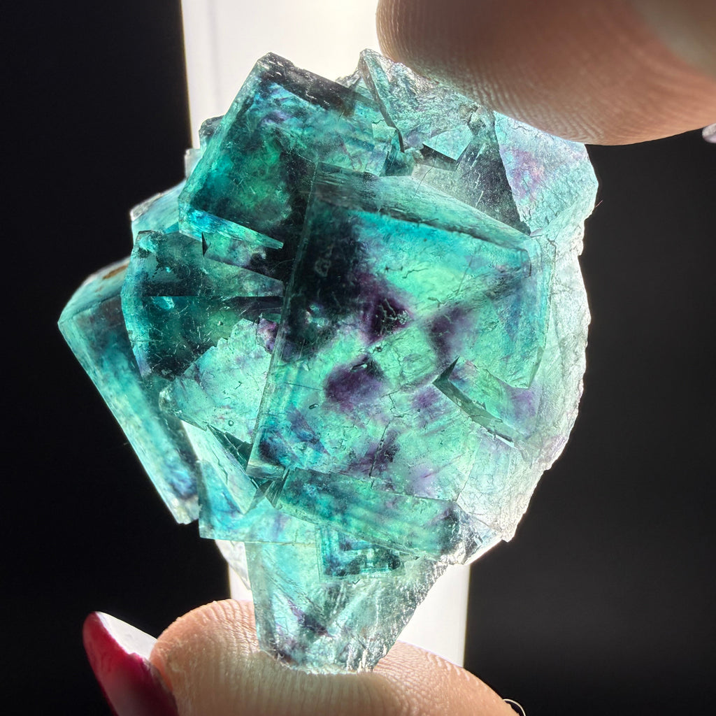 Fluorite "Butterfly Pocket"