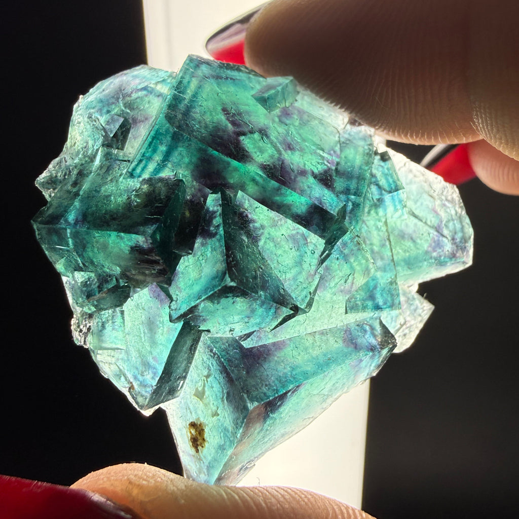 Fluorite "Butterfly Pocket"