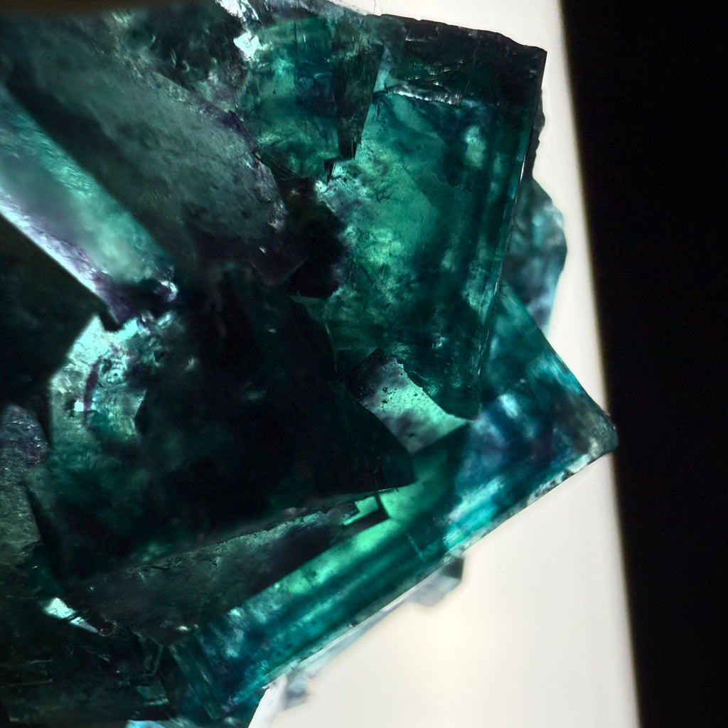 Fluorite "Butterfly Pocket"