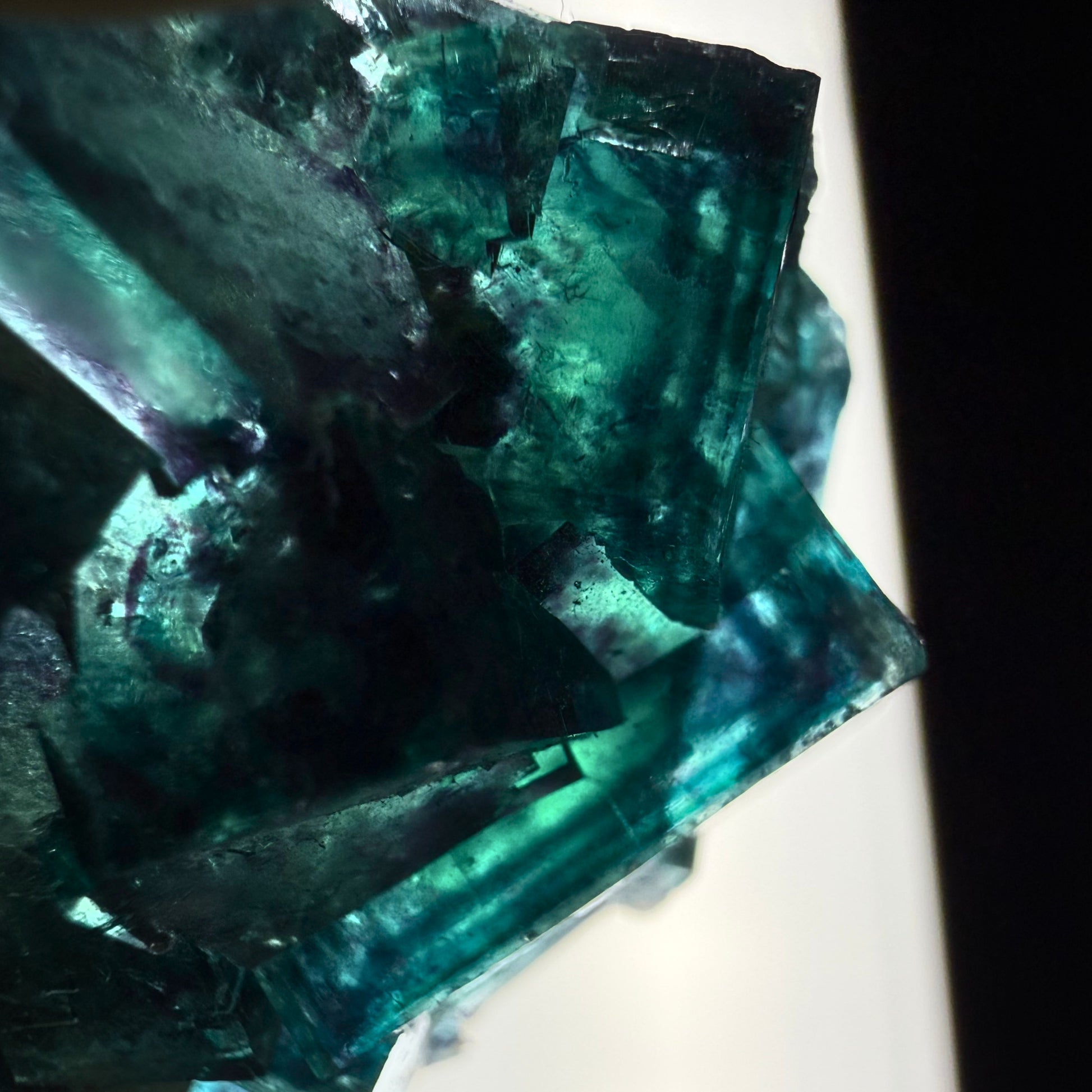 Fluorite "Butterfly Pocket"