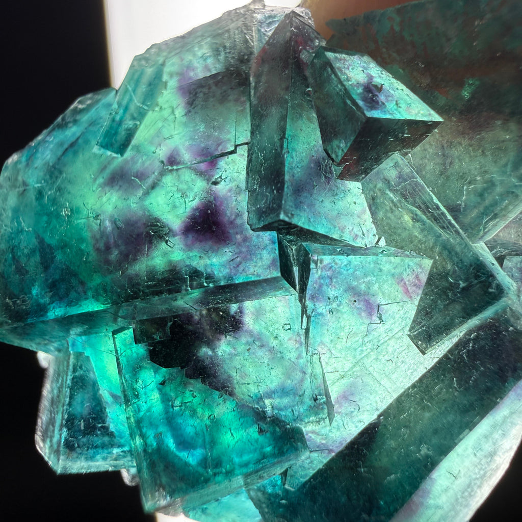 Fluorite "Butterfly Pocket"