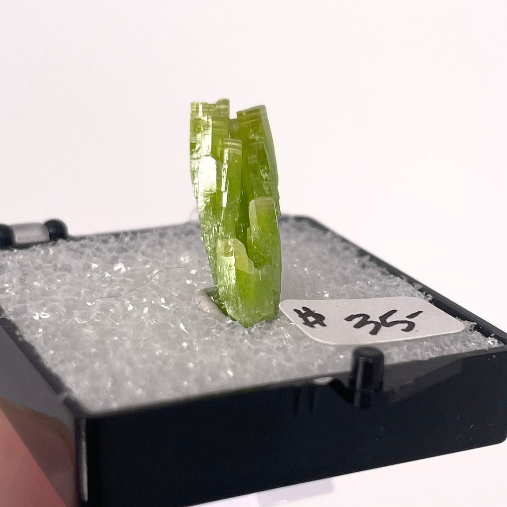 MN0069-Pyromorphite (Tn)