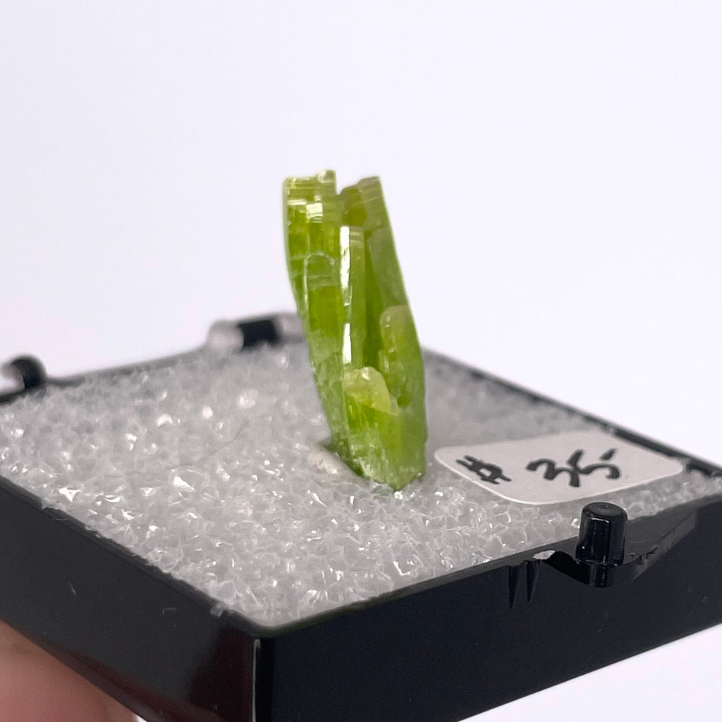 MN0069-Pyromorphite (Tn)