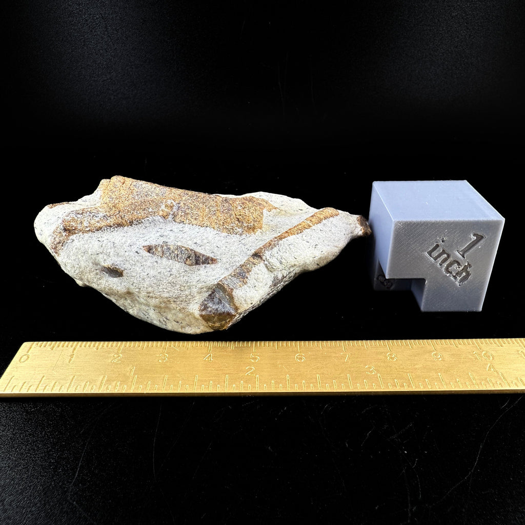 MN0060-Staurolite "Fairy Cross"