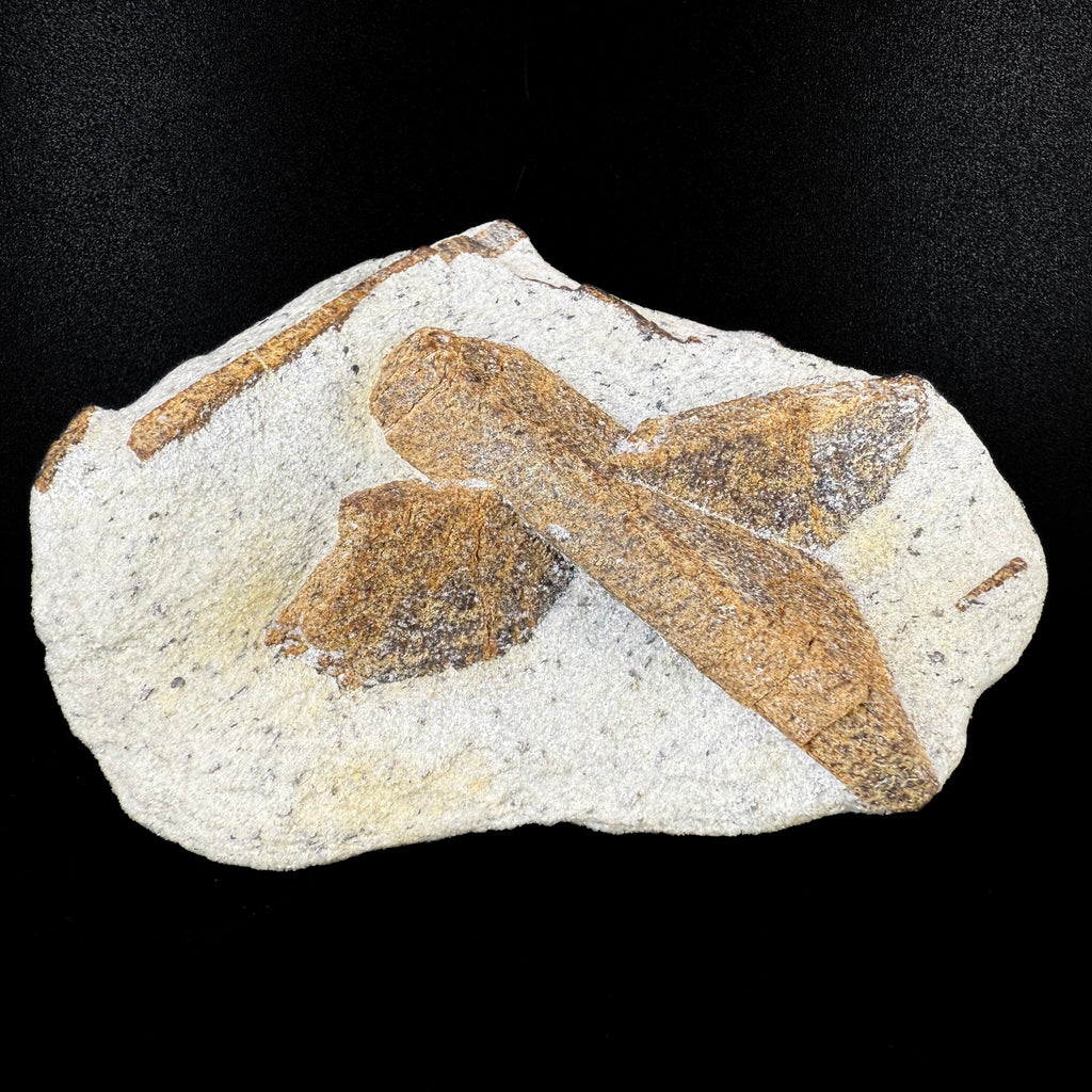 MN0060-Staurolite "Fairy Cross"