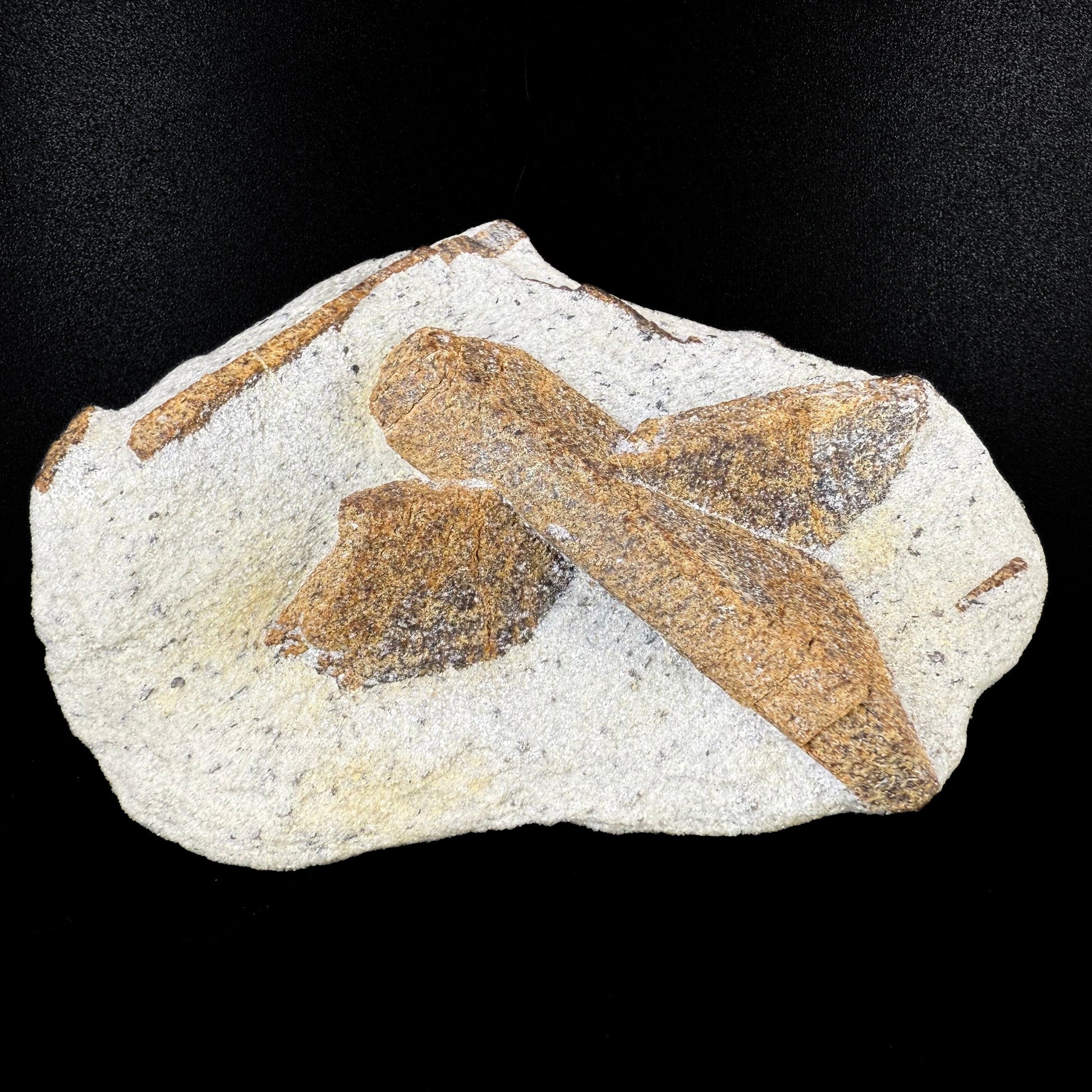 MN0060-Staurolite "Fairy Cross"