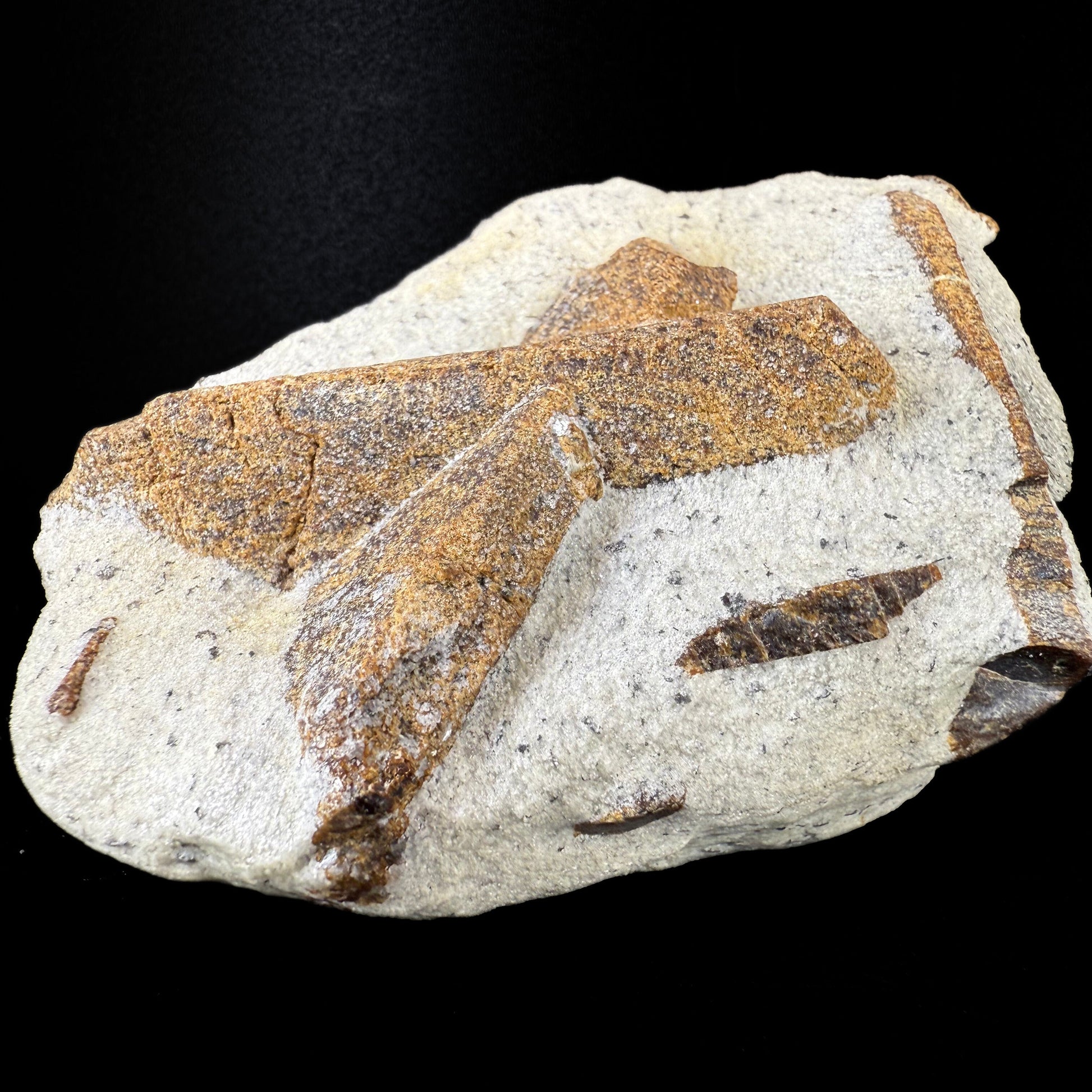 MN0060-Staurolite "Fairy Cross"