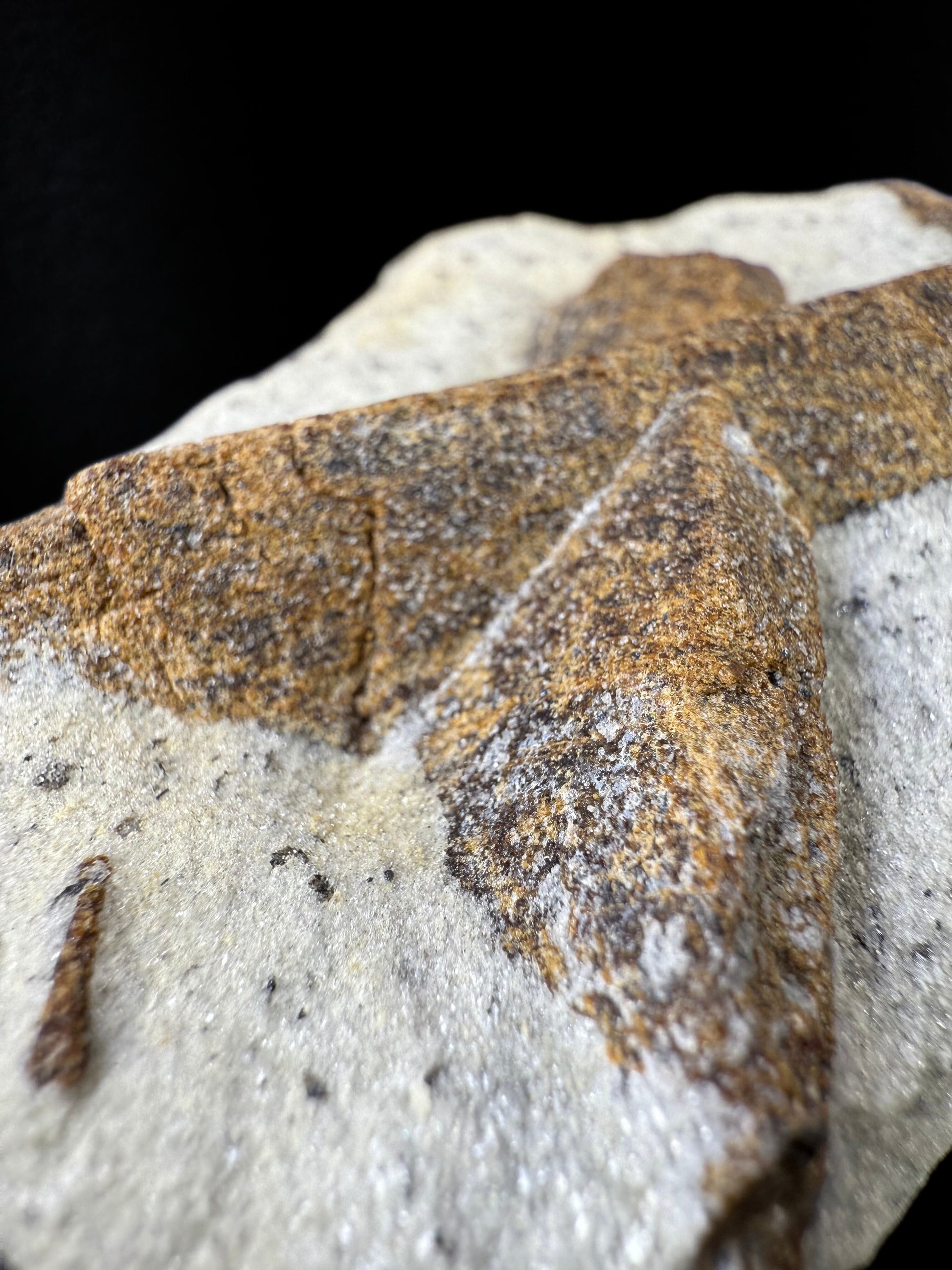 MN0060-Staurolite "Fairy Cross"