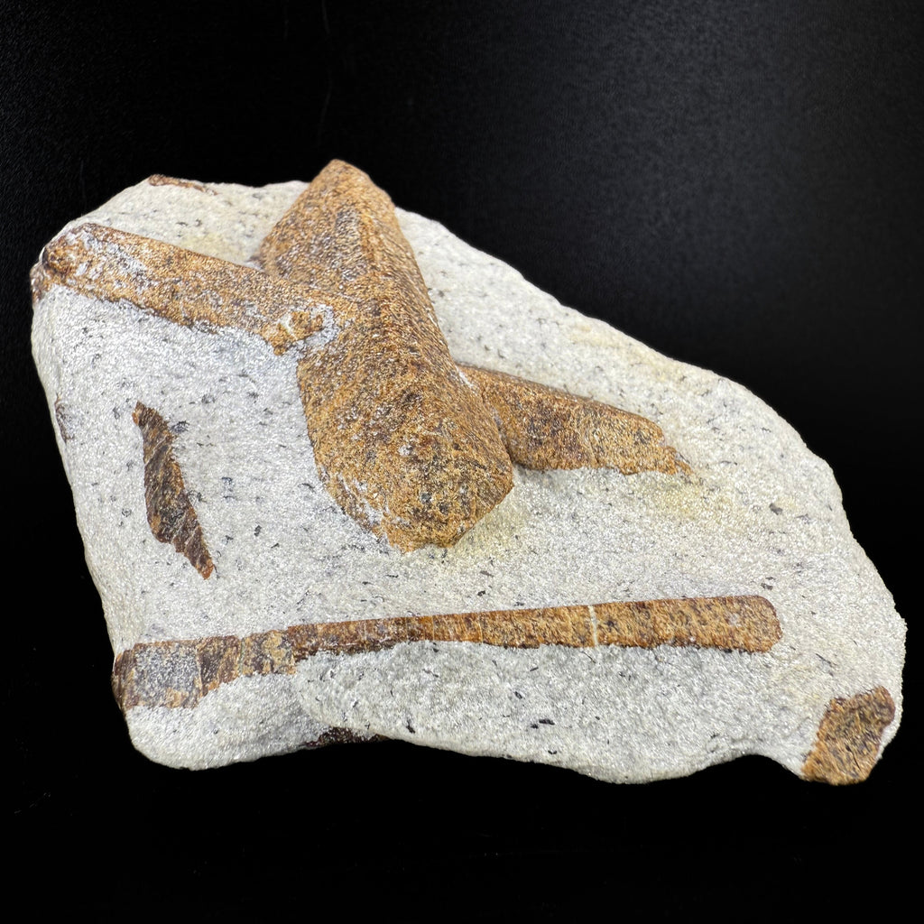 MN0060-Staurolite "Fairy Cross"