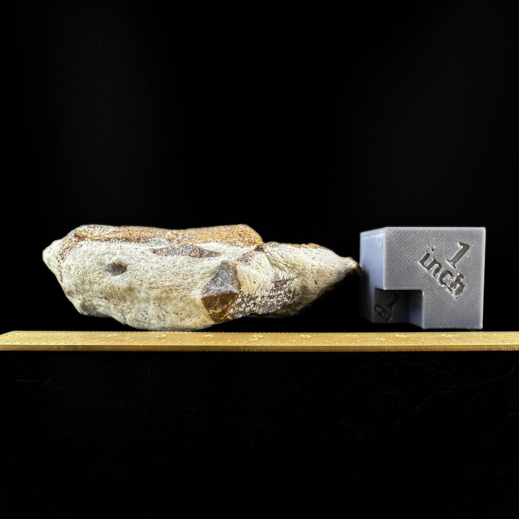 MN0060-Staurolite "Fairy Cross"