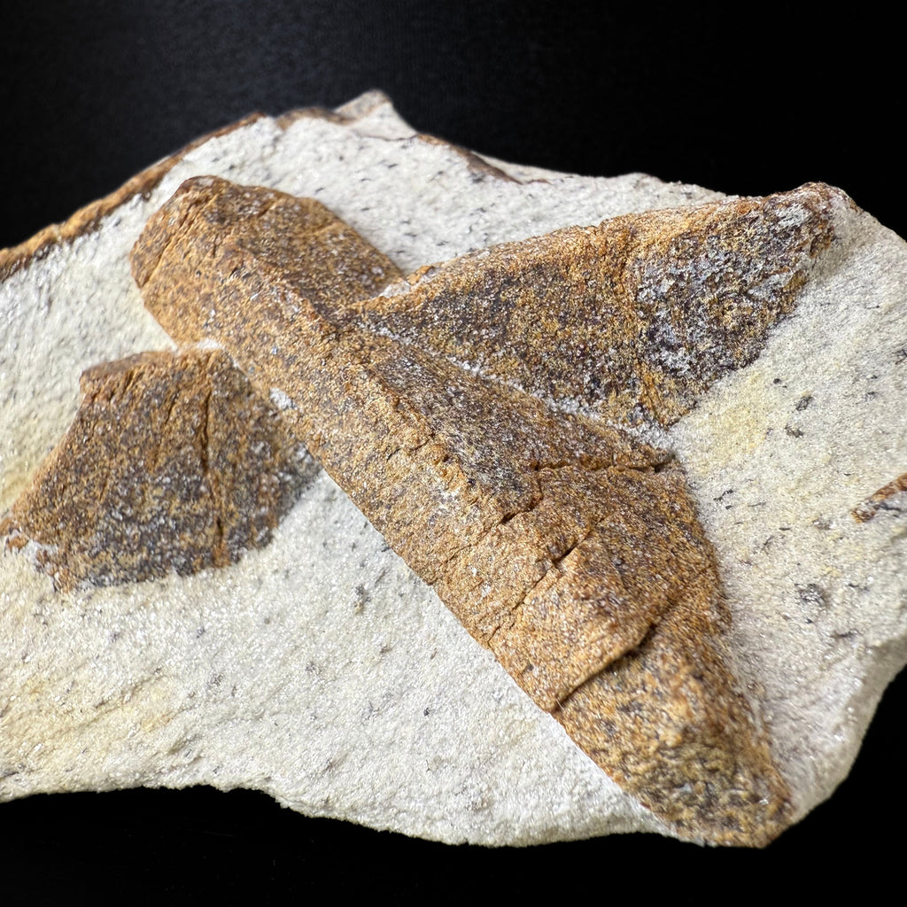MN0060-Staurolite "Fairy Cross"