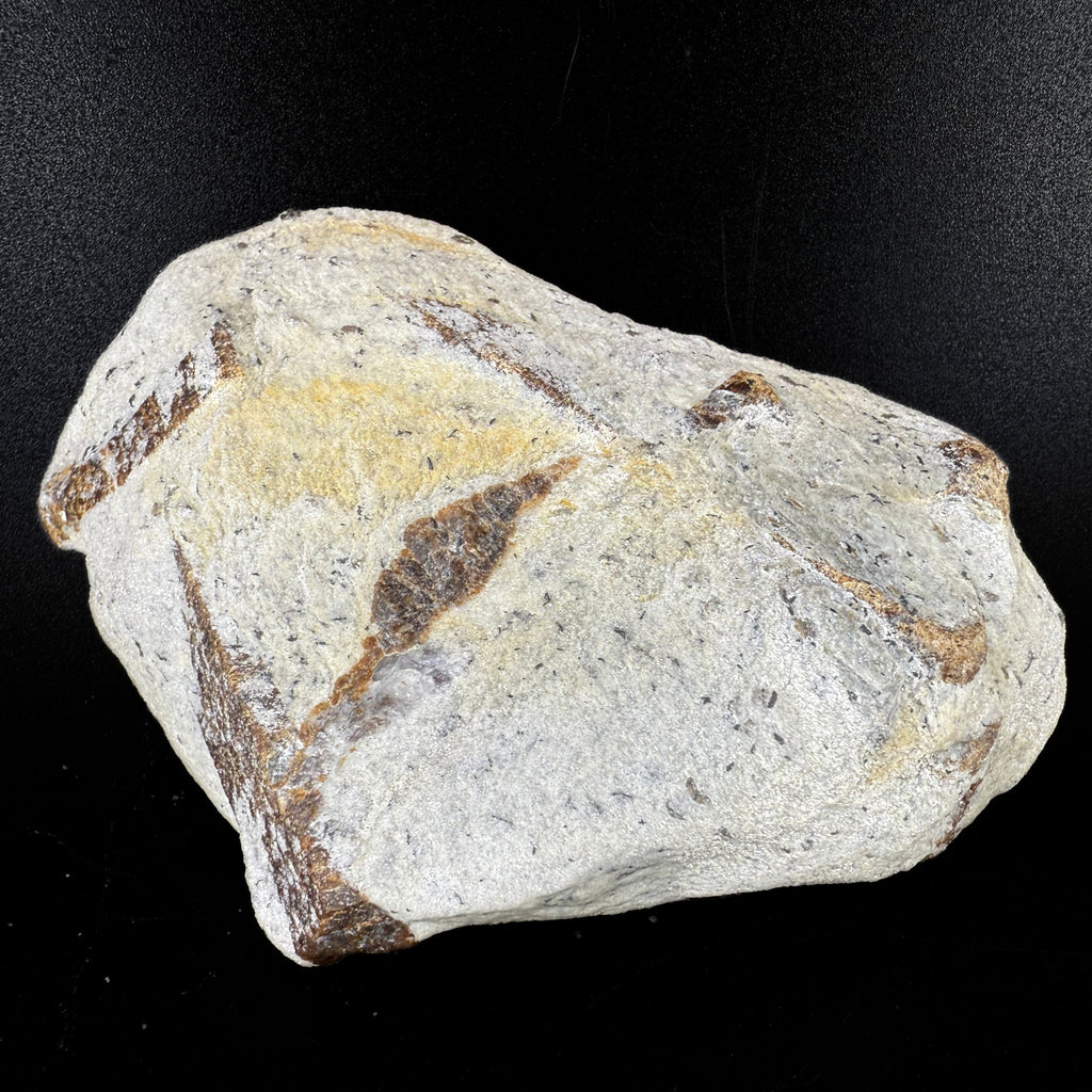 MN0060-Staurolite "Fairy Cross"