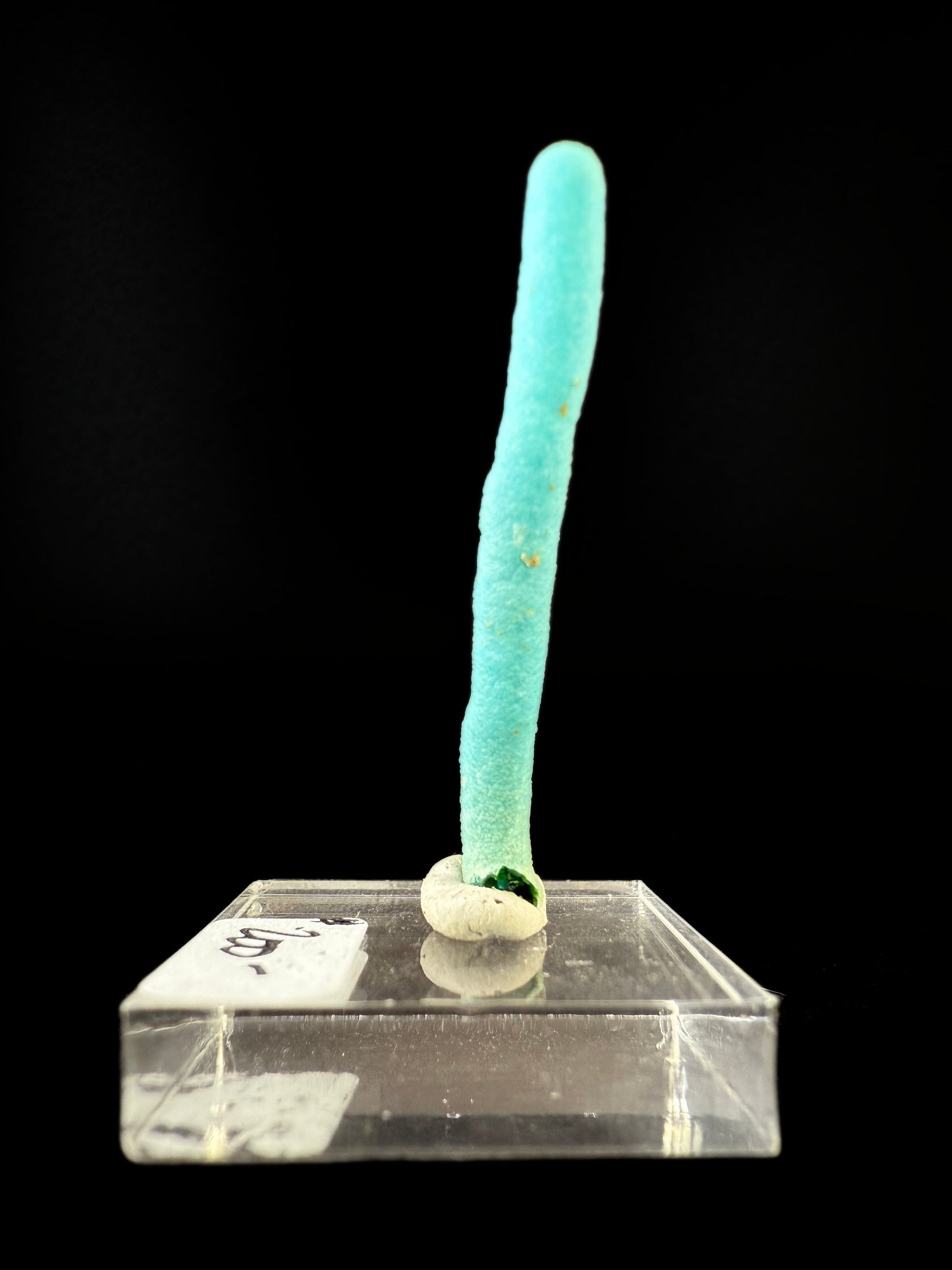 MN0062-Chrysocolla