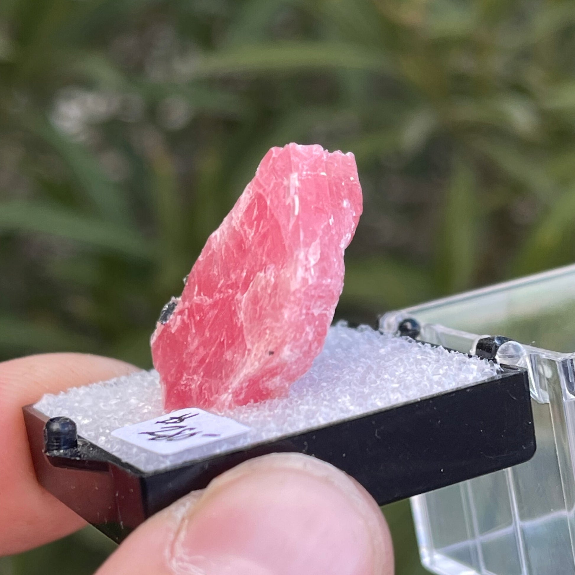 MN0080-Rhodochrosite (Tn)